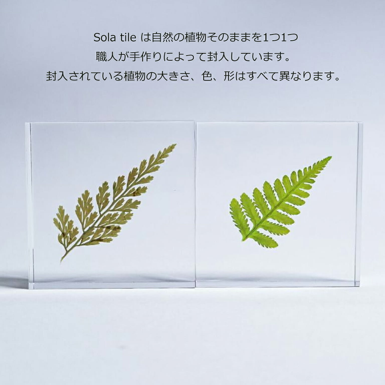 置物・オブジェ