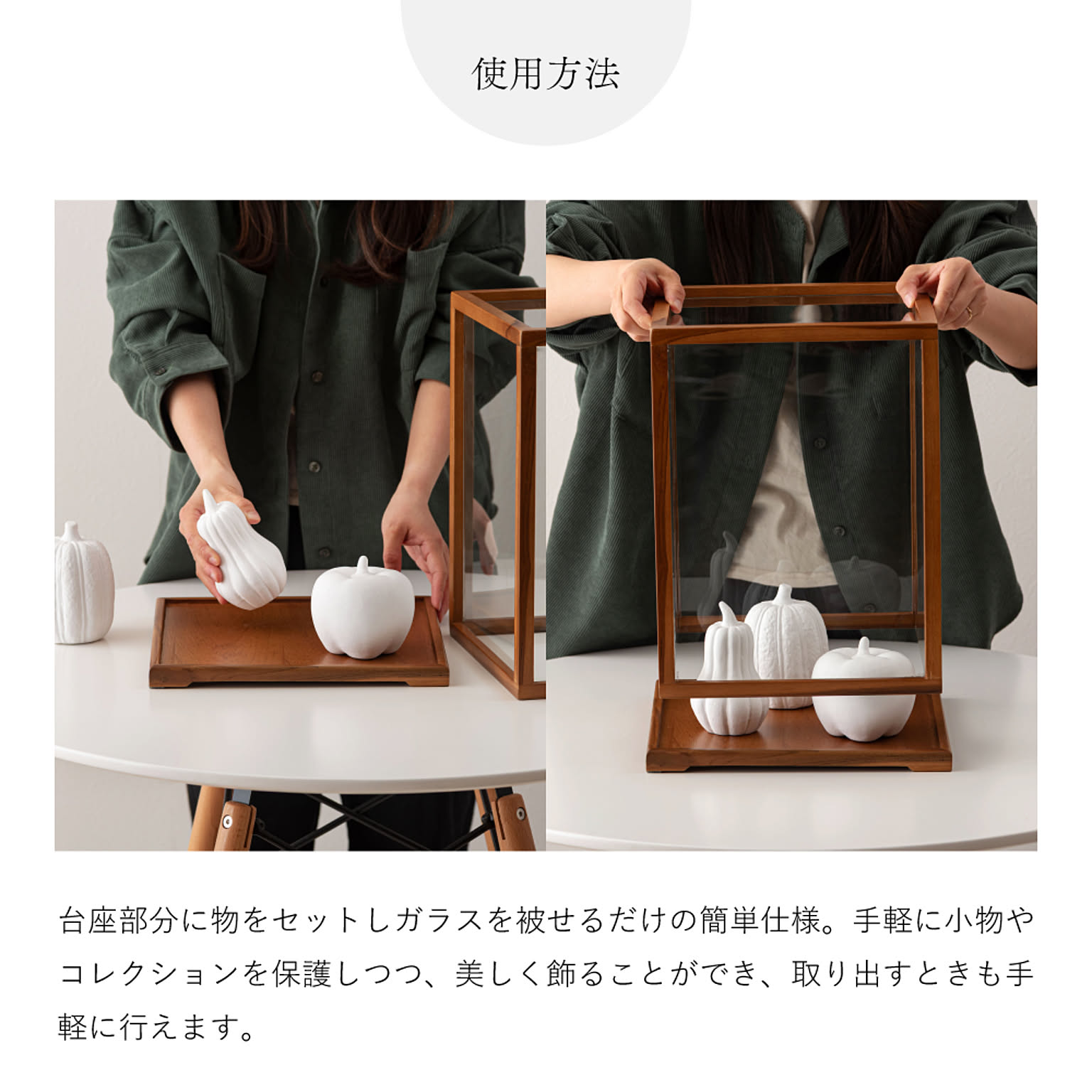 コレクションケース