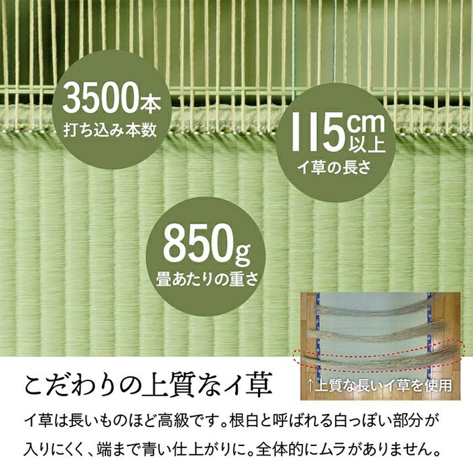 ござ・い草ラグ