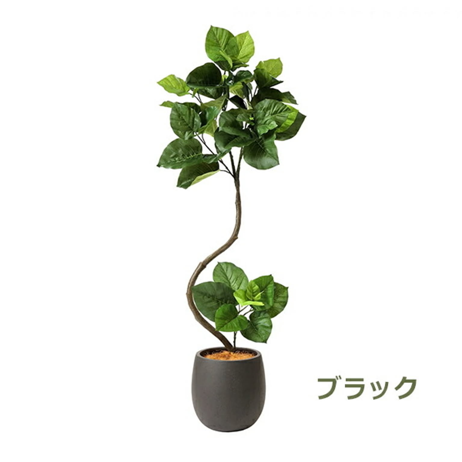 フェイクグリーン