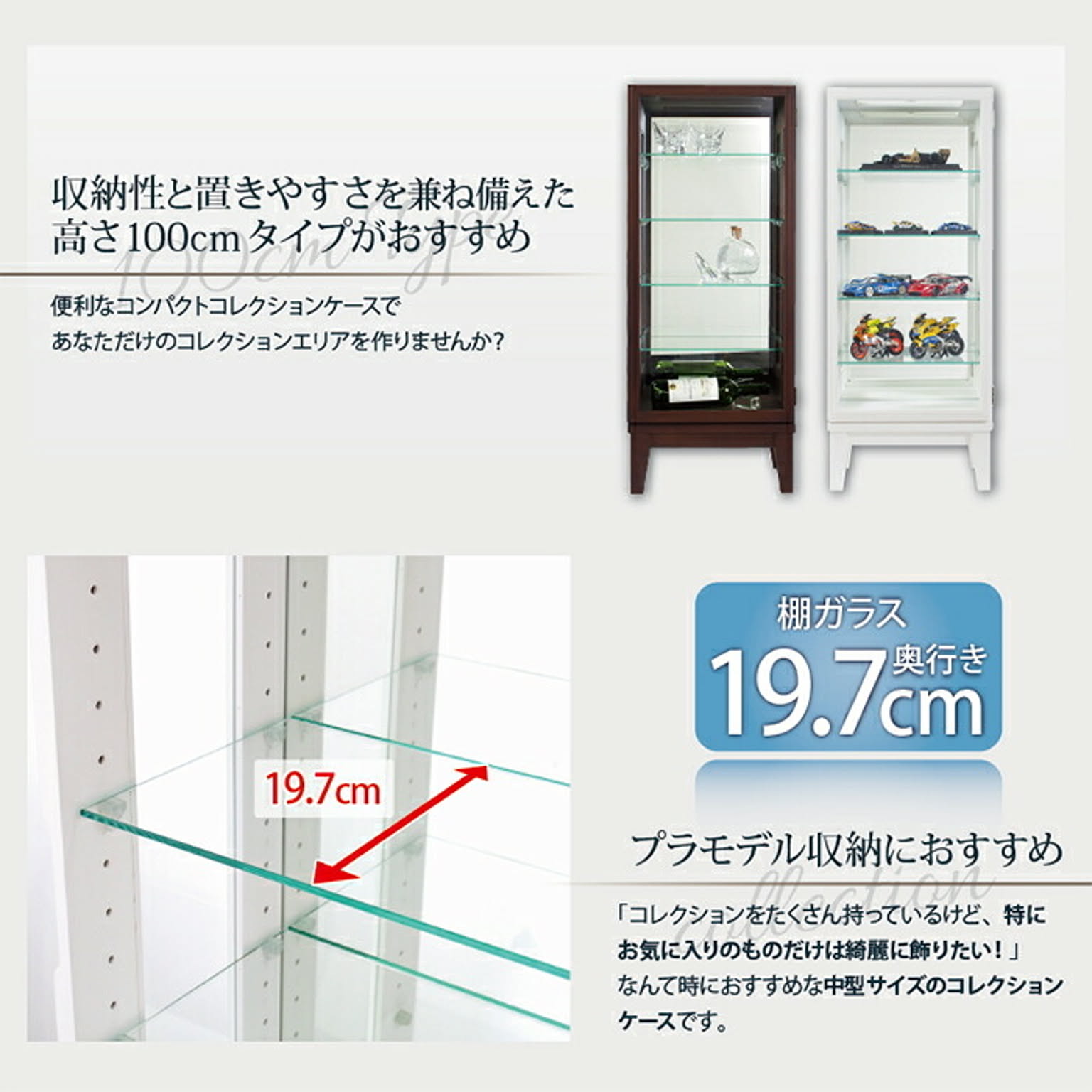 コレクションケース