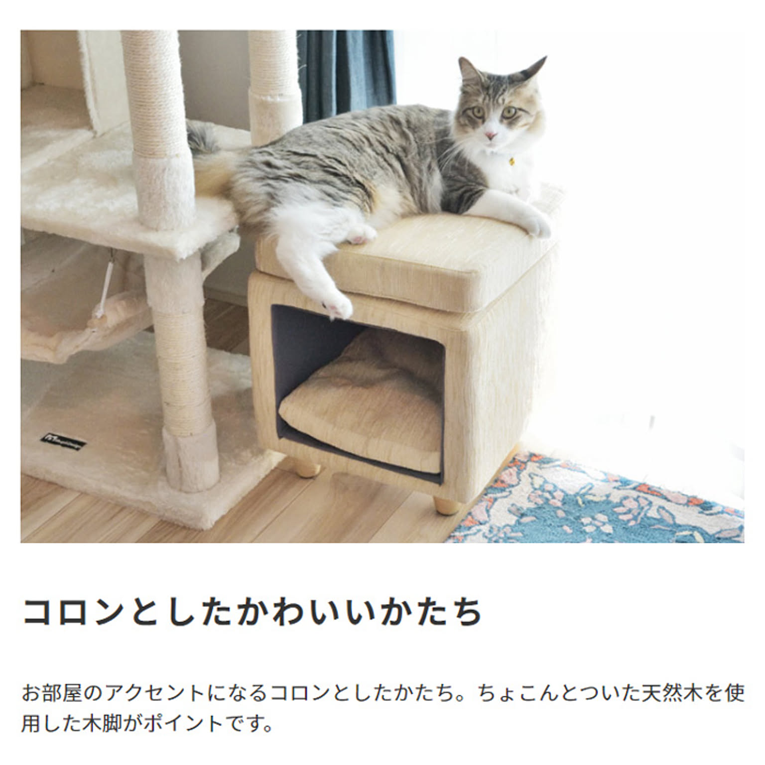 犬用インテリア・犬用家具