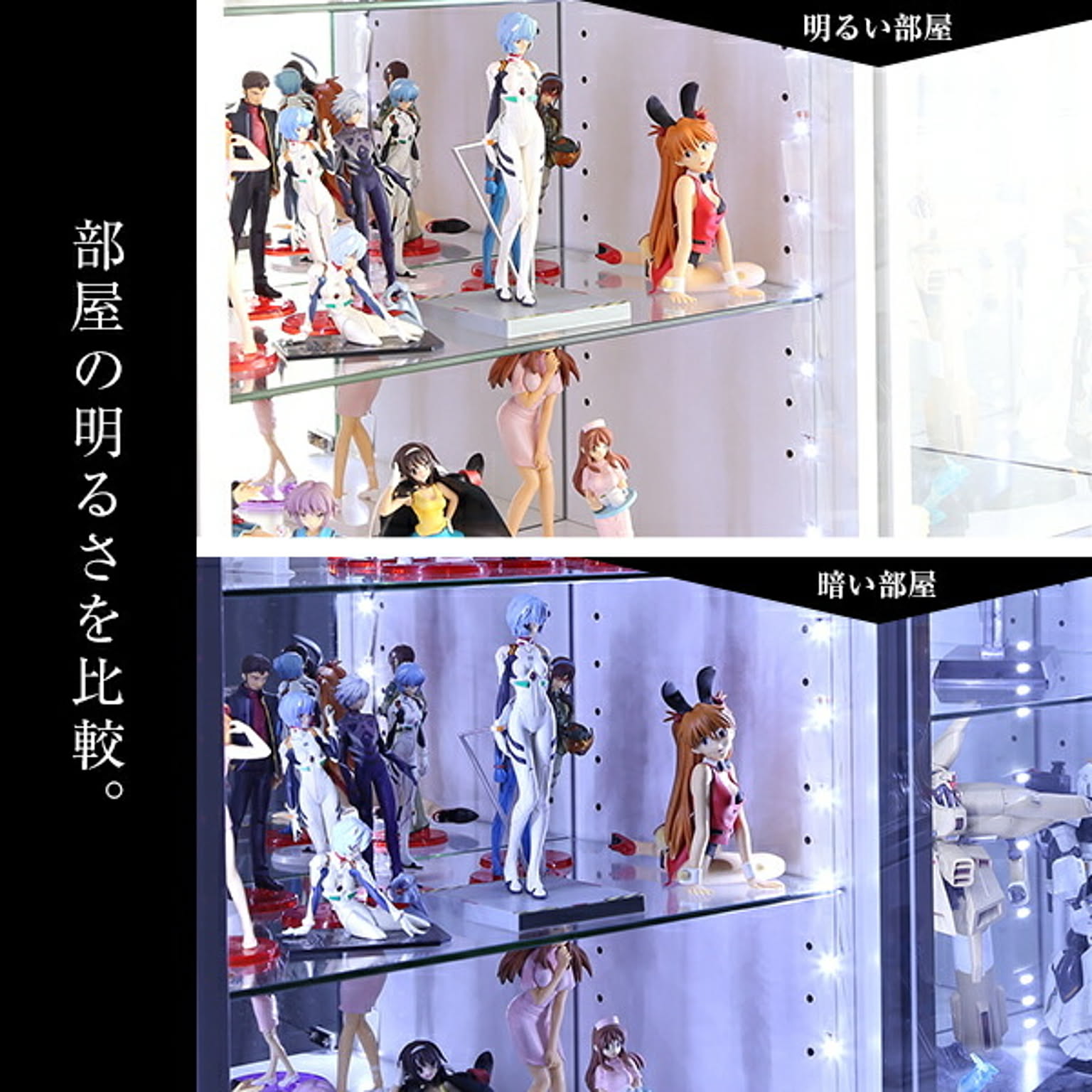 コレクションケース