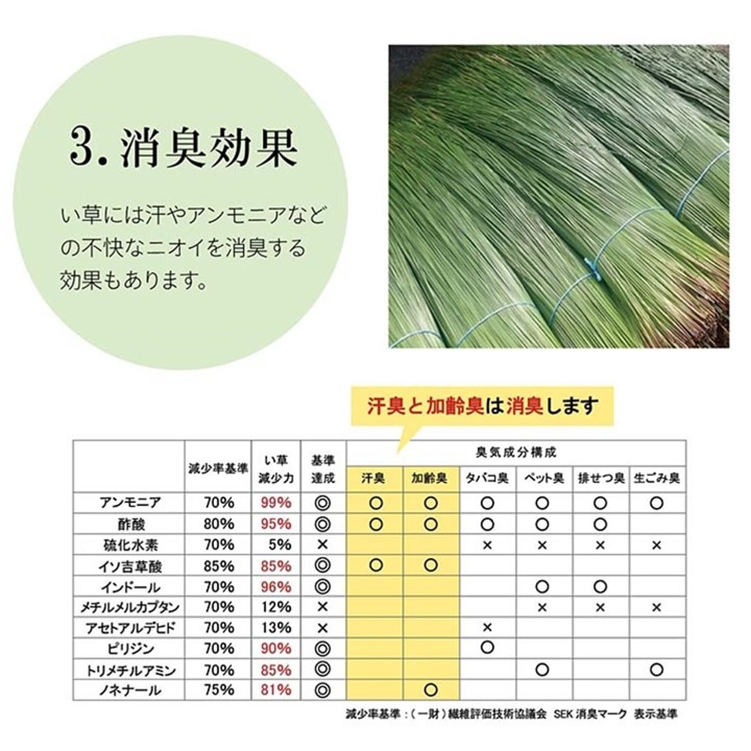 ござ・い草ラグ