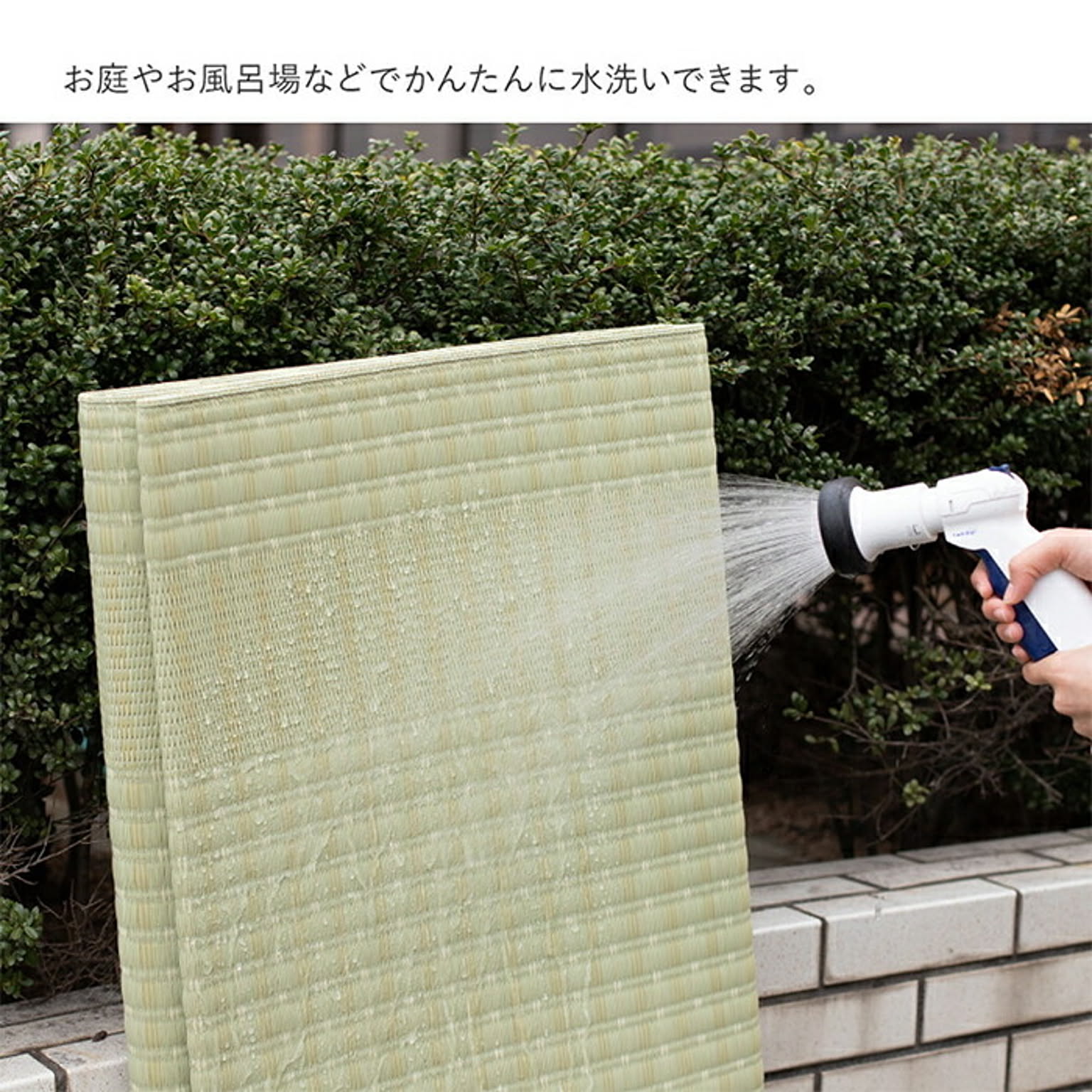 ござ・い草ラグ