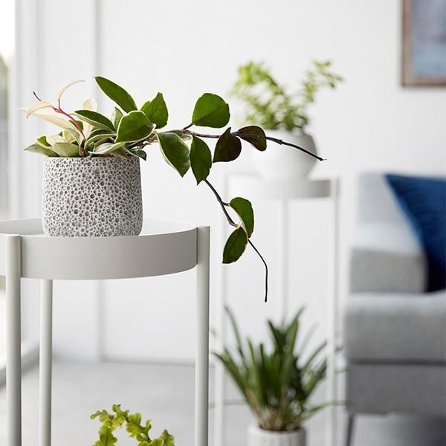 プランター・植木鉢