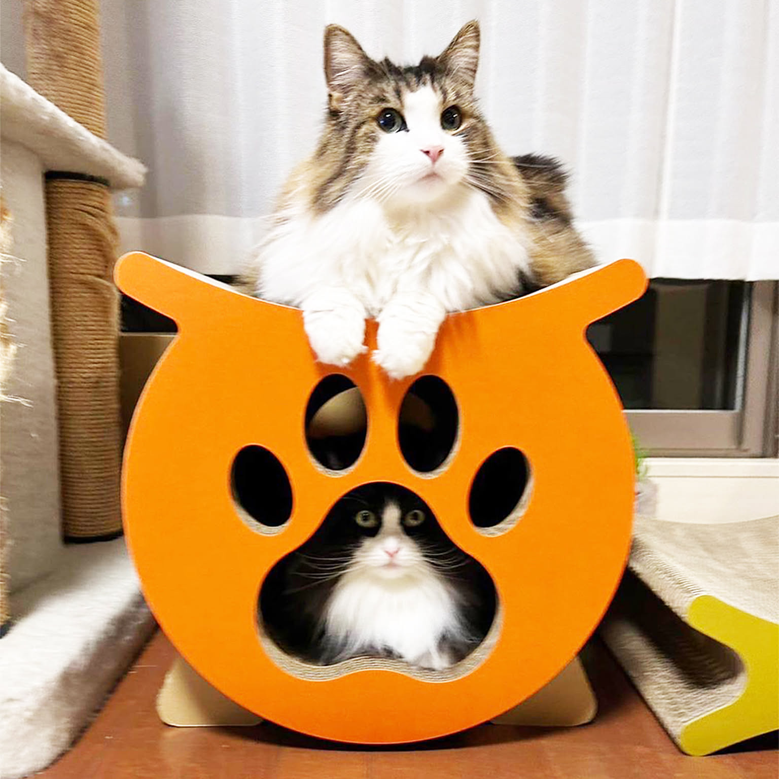 猫用インテリア・猫用家具