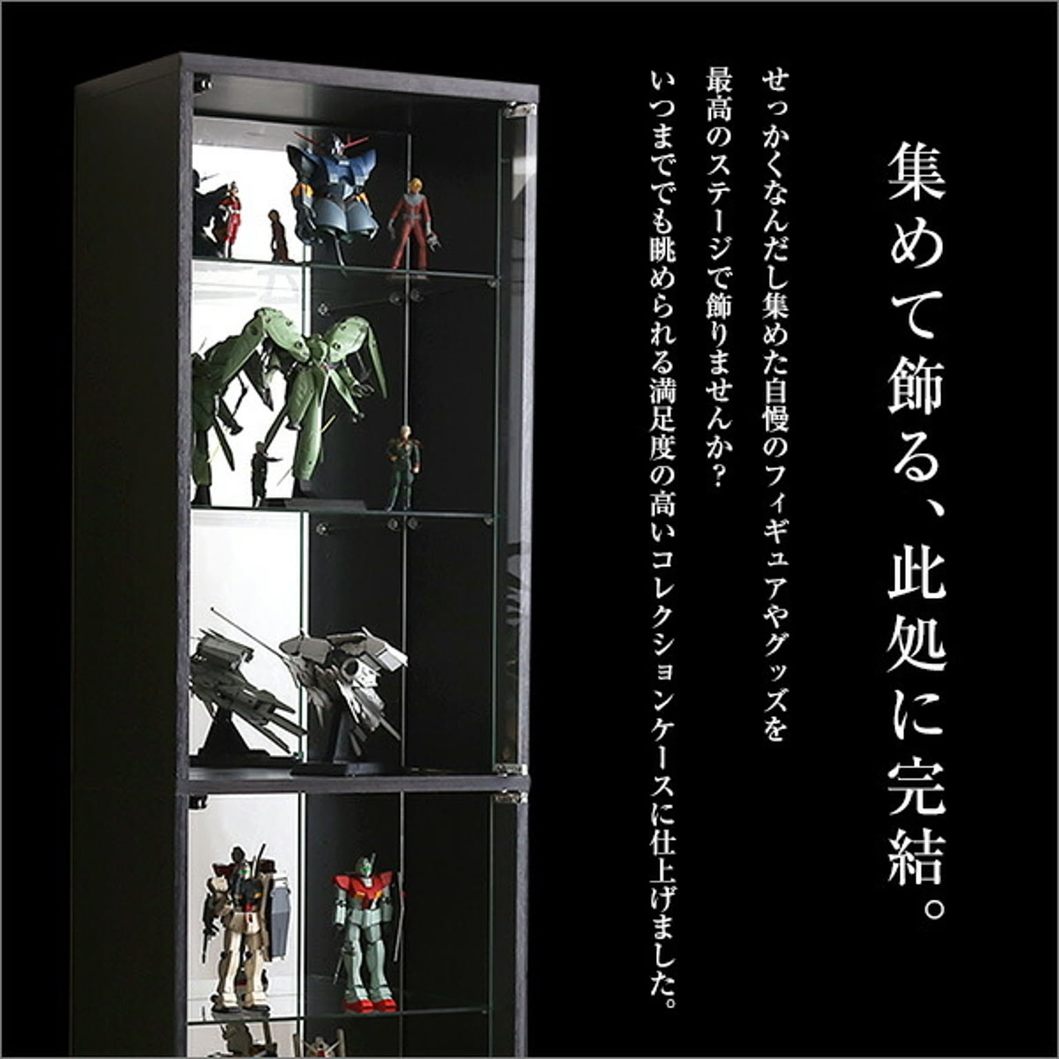 コレクションケース