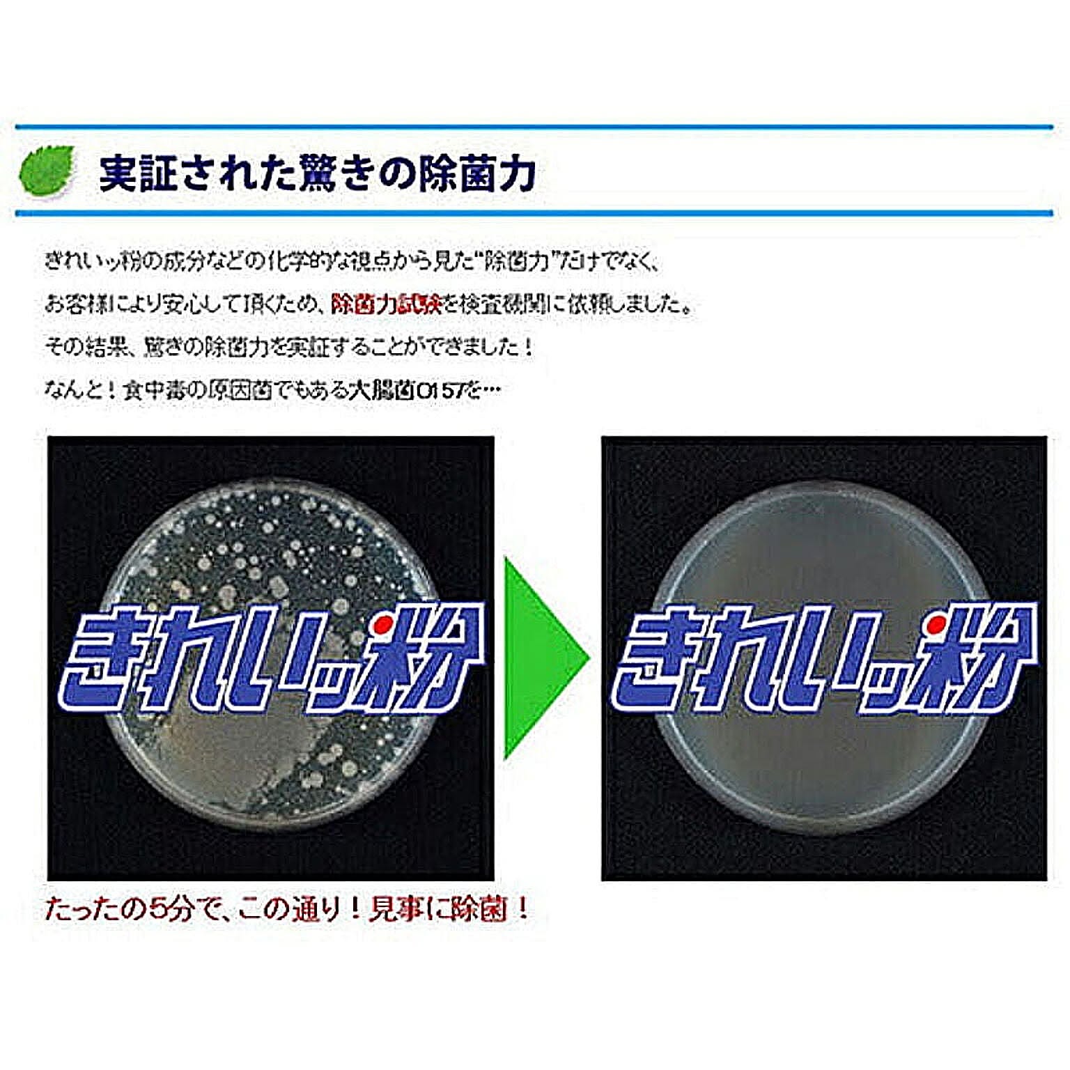 洗濯用洗剤