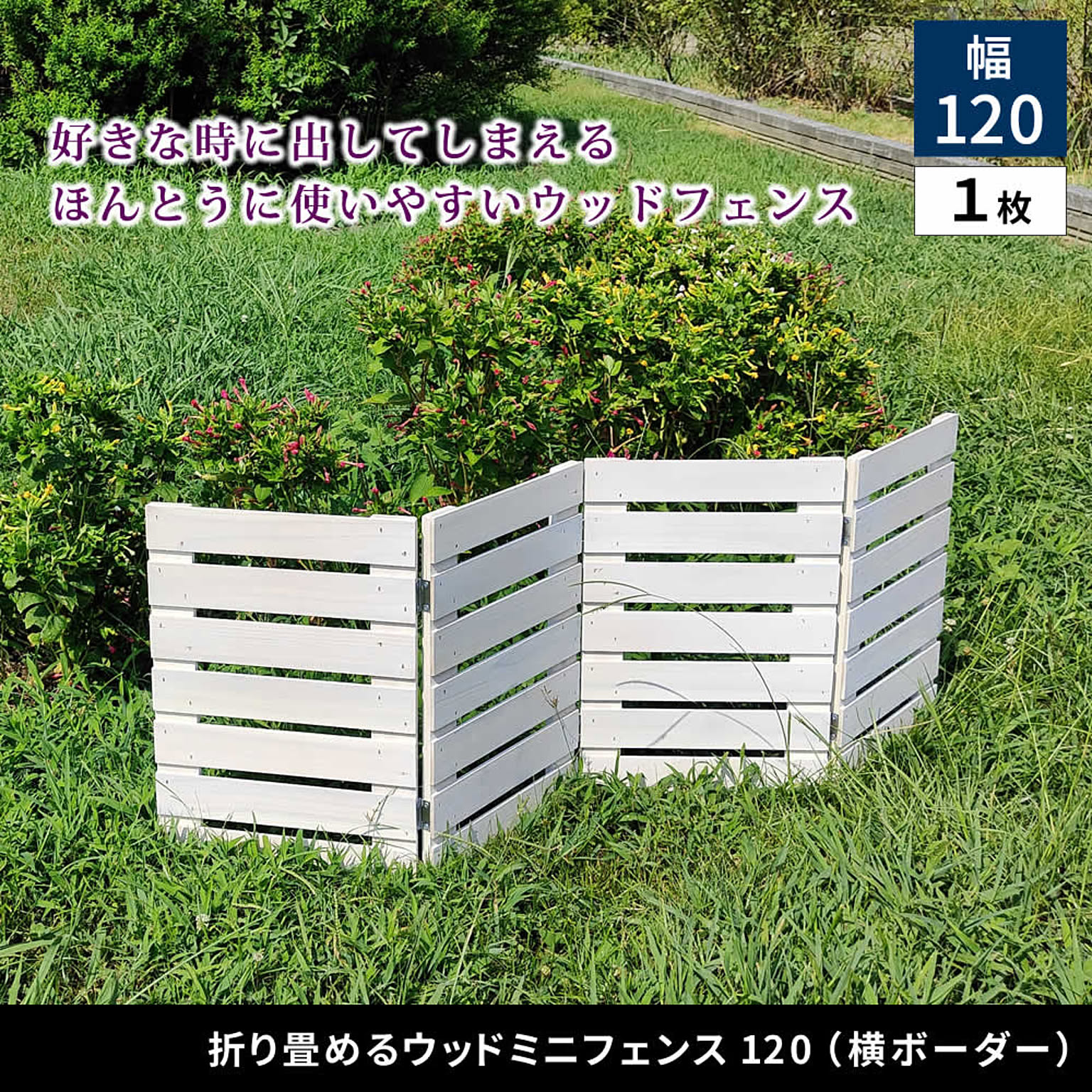 エクステリア
