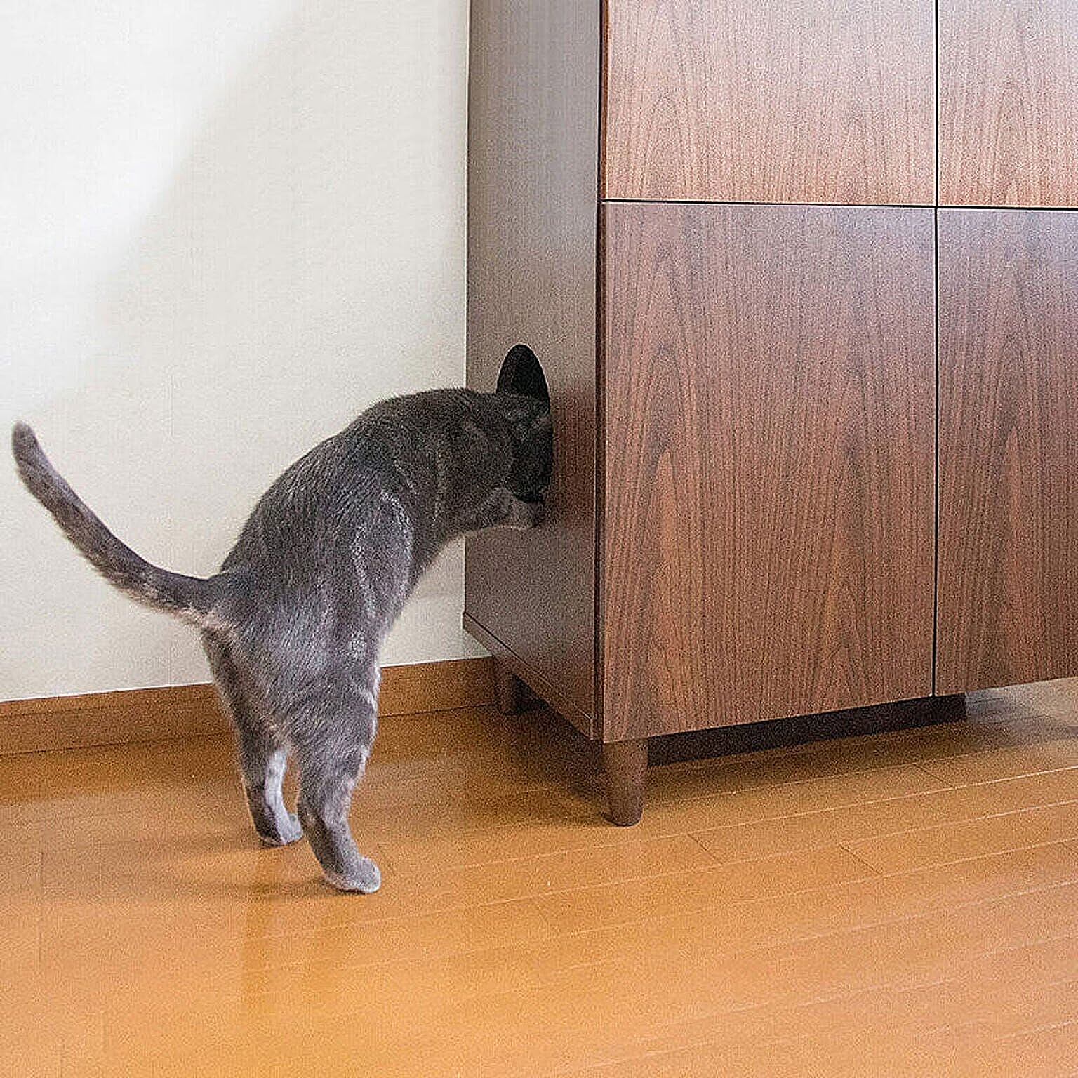 猫用インテリア・猫用家具
