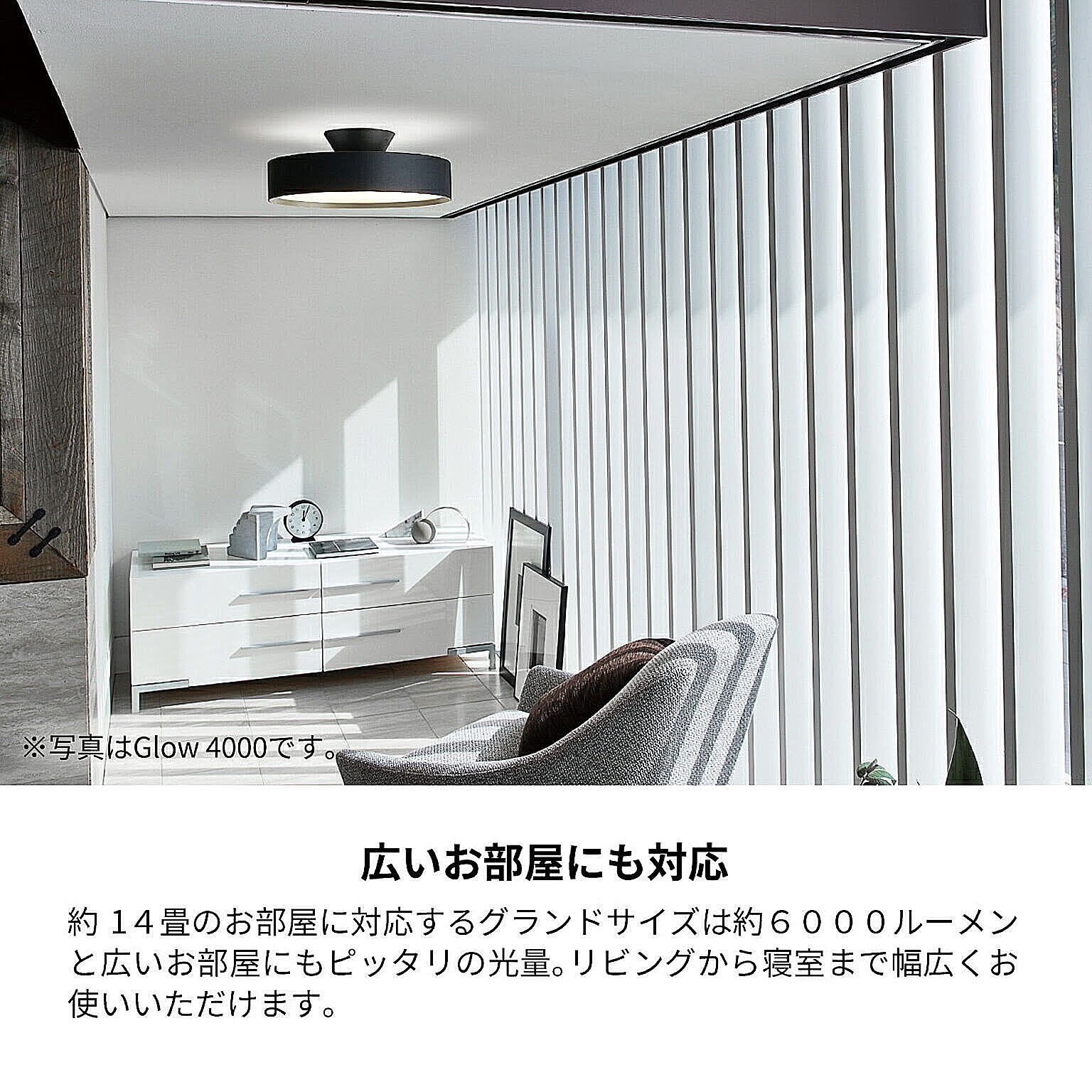 ARTWORKSTUDIO グロー 6000 シーリングライト LED内臓 ブラック ARTWORKSTUDIO グロー 6000 シーリングライト LED内臓 ブラック