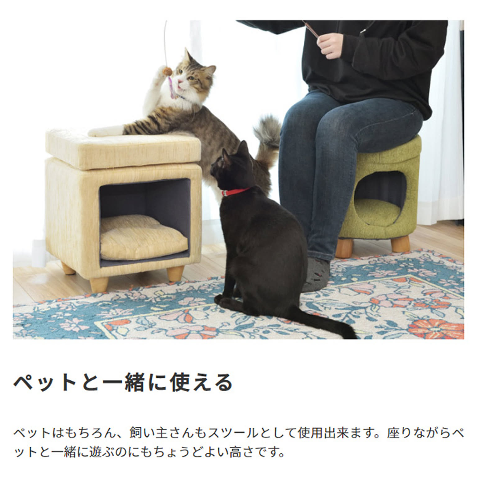 犬用インテリア・犬用家具