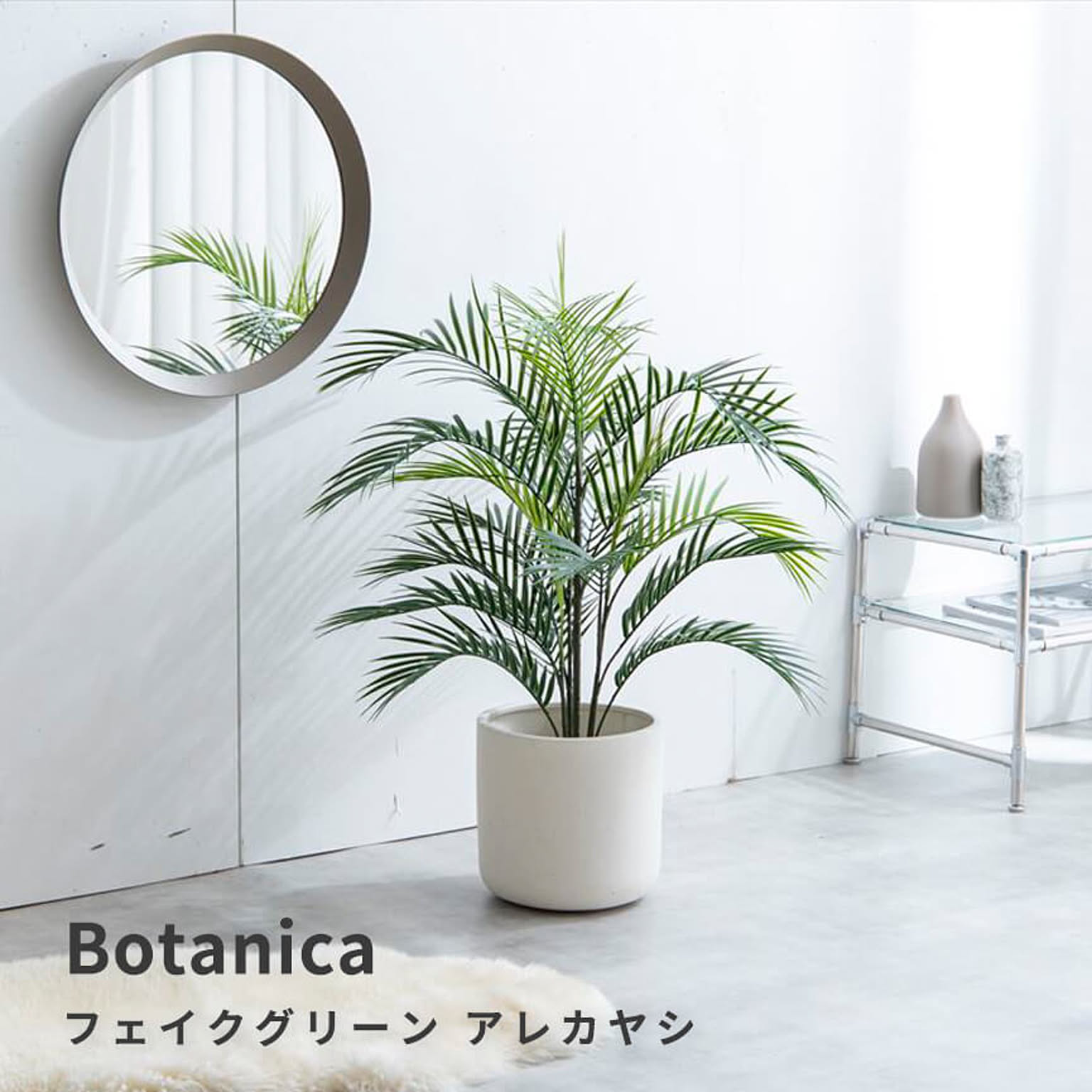 観葉植物