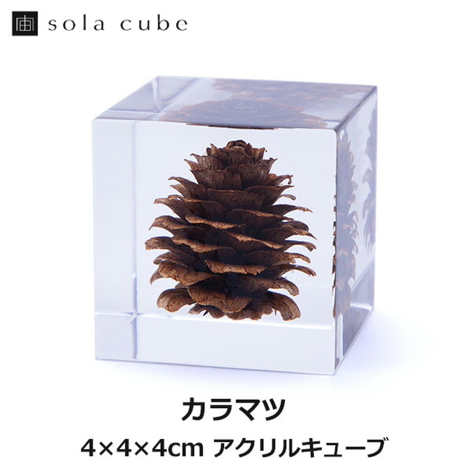 置物・オブジェ