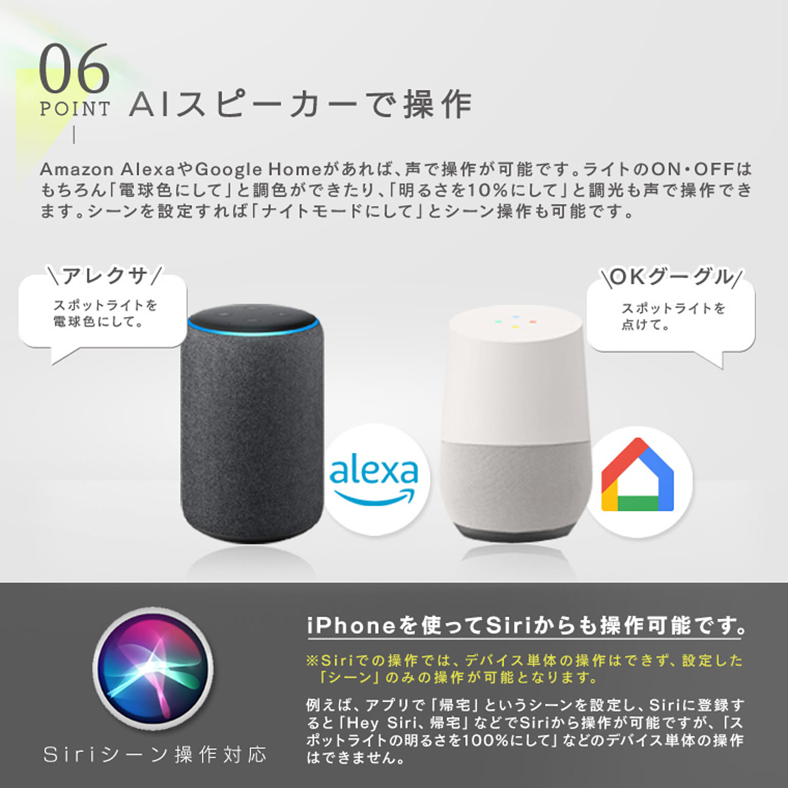 スポットライト