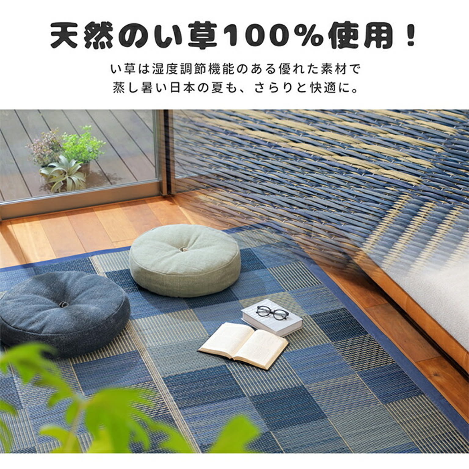 ござ・い草ラグ