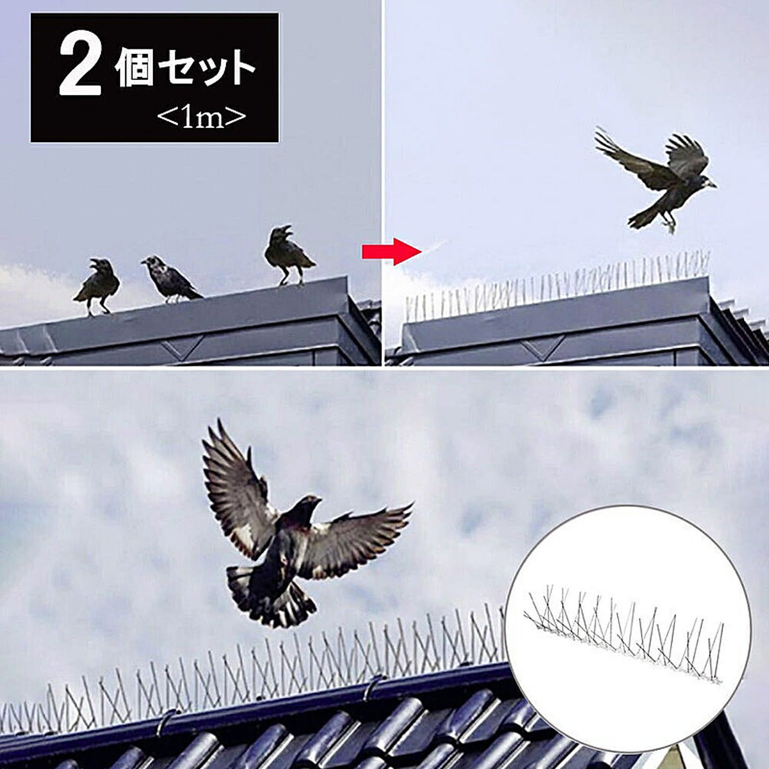 鳥よけ 針金 2個セット 害獣よけ スパイク 猫 ベランダ 玄関 ハト避け 糞害対策 侵入防止 予防 害獣 畑 バード 長さカット 可能 防鳥