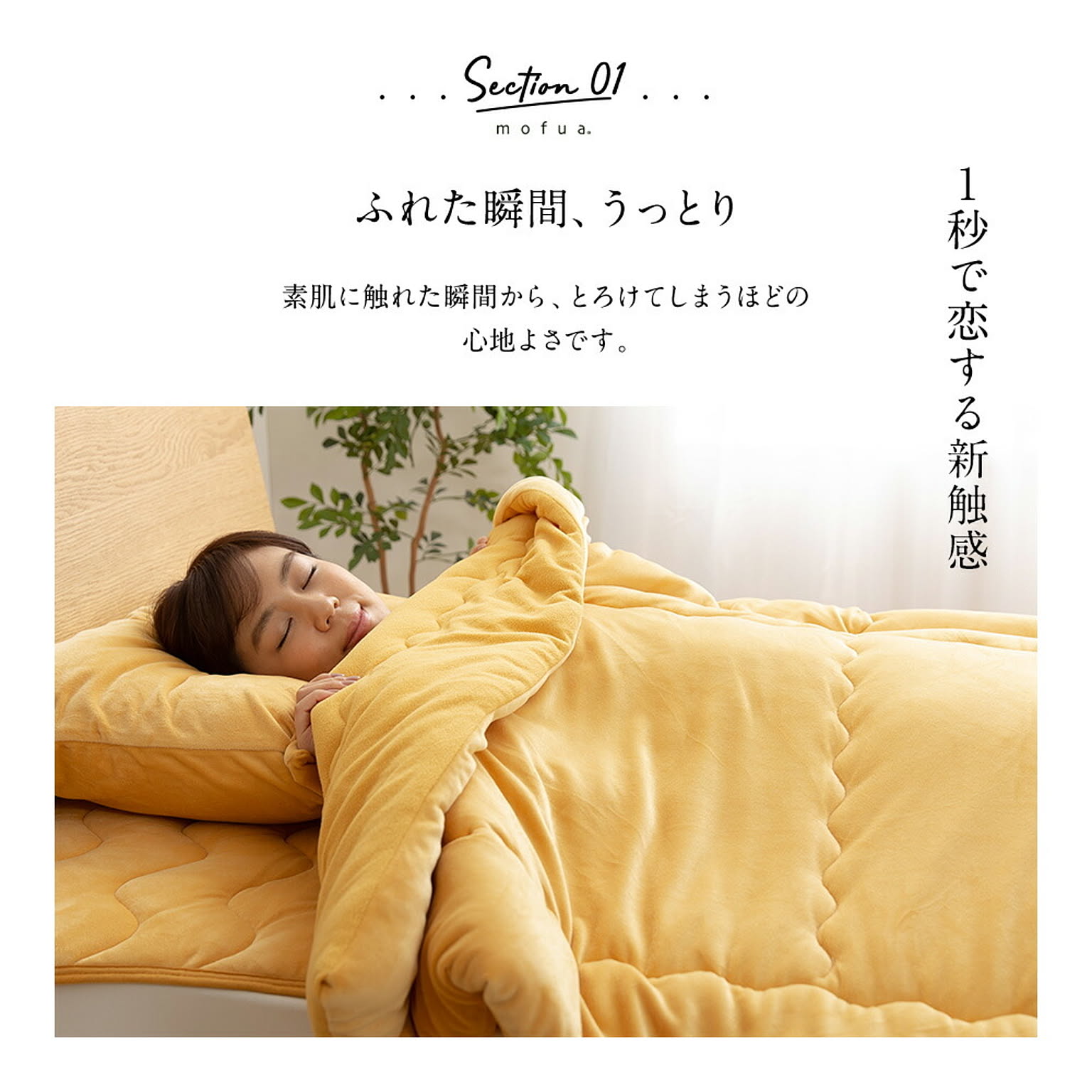 ブランケット・毛布