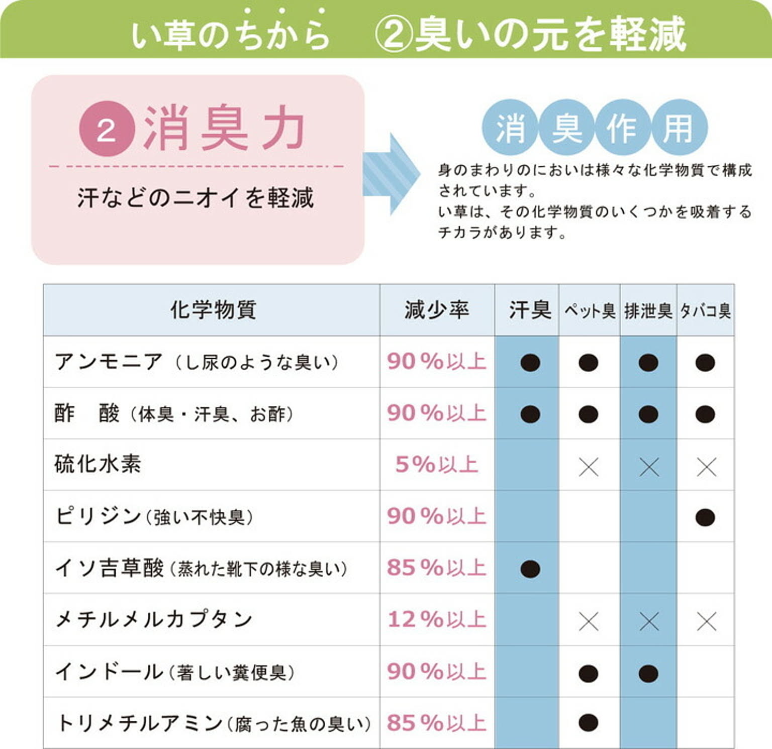 ござ・い草ラグ