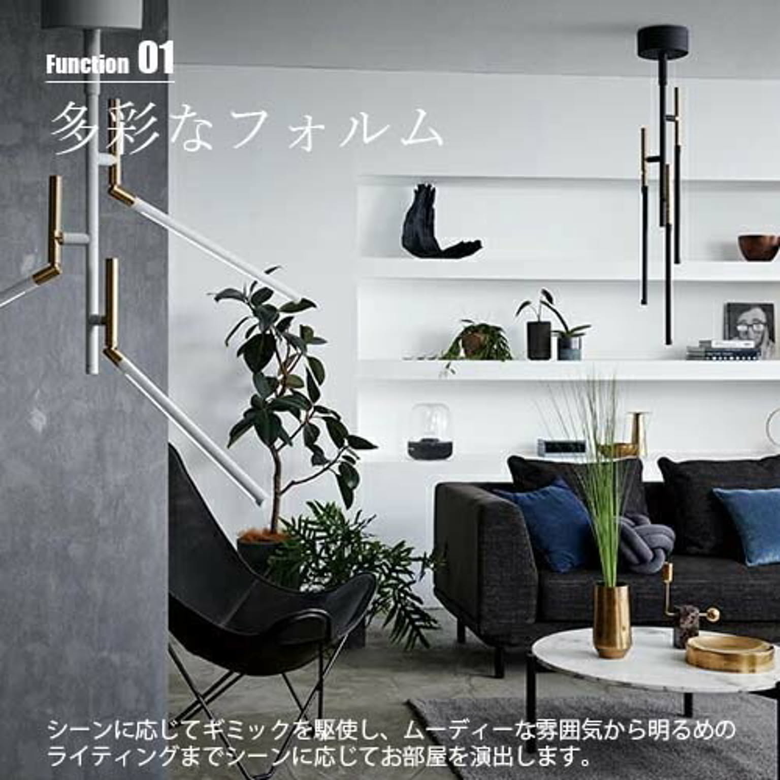 シーリングライト