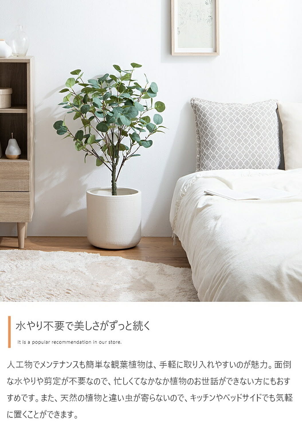 観葉植物