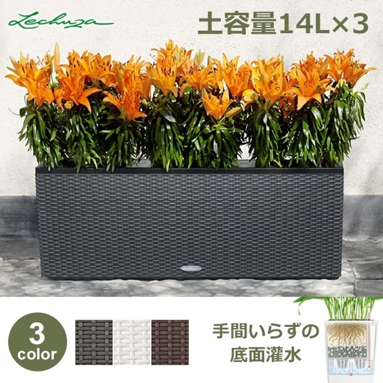 プランター・植木鉢