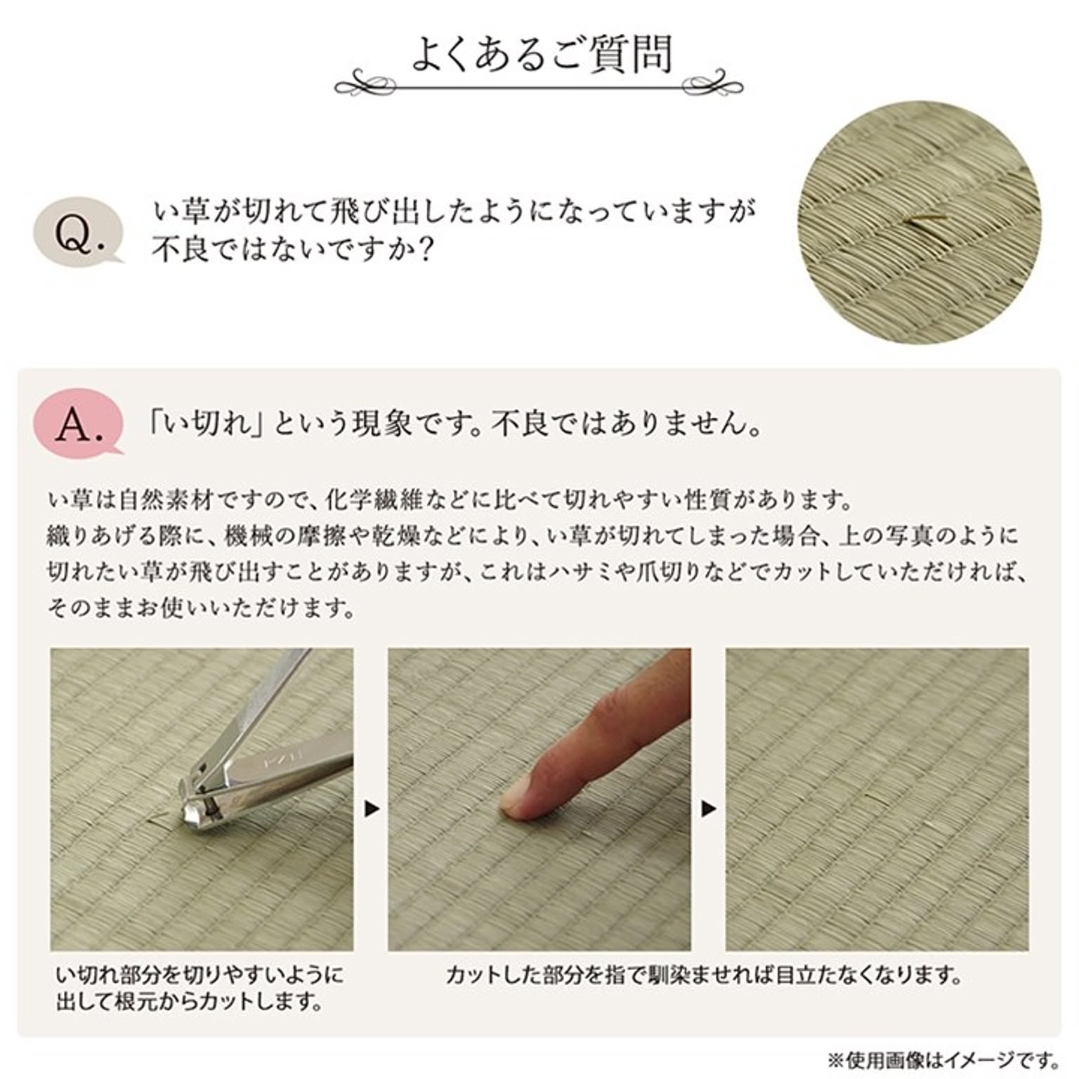 ござ・い草ラグ