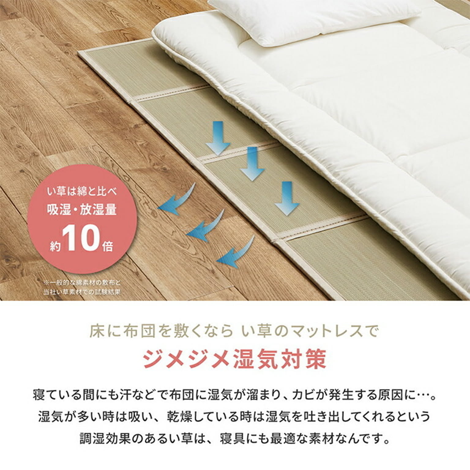 ござ・い草ラグ