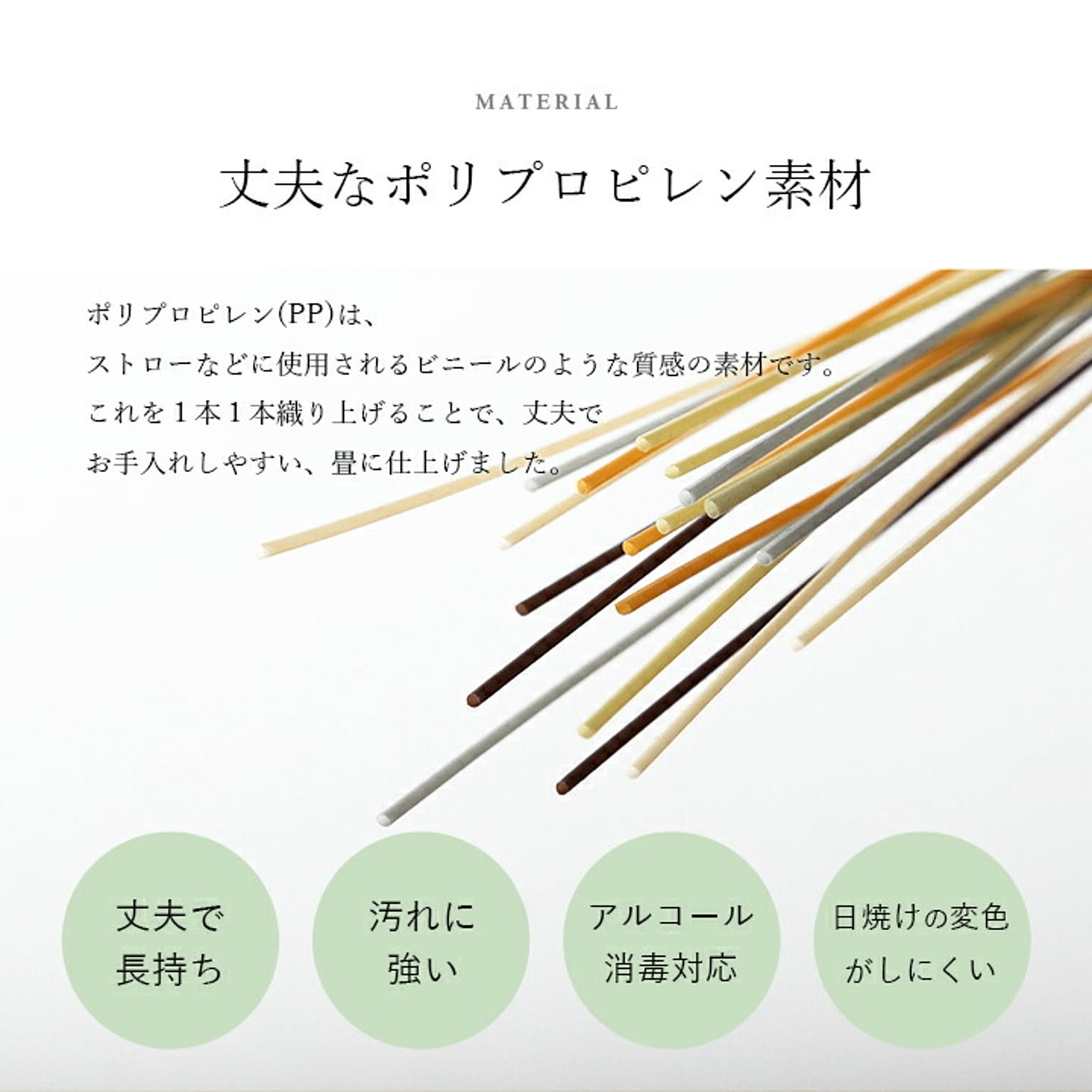 ござ・い草ラグ