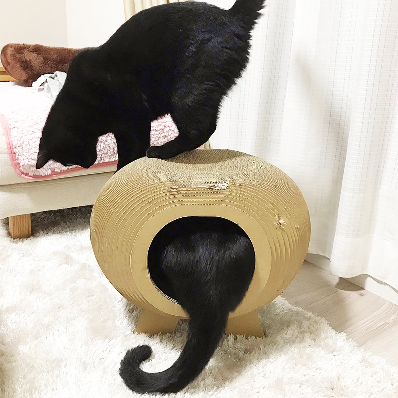 猫用インテリア・猫用家具