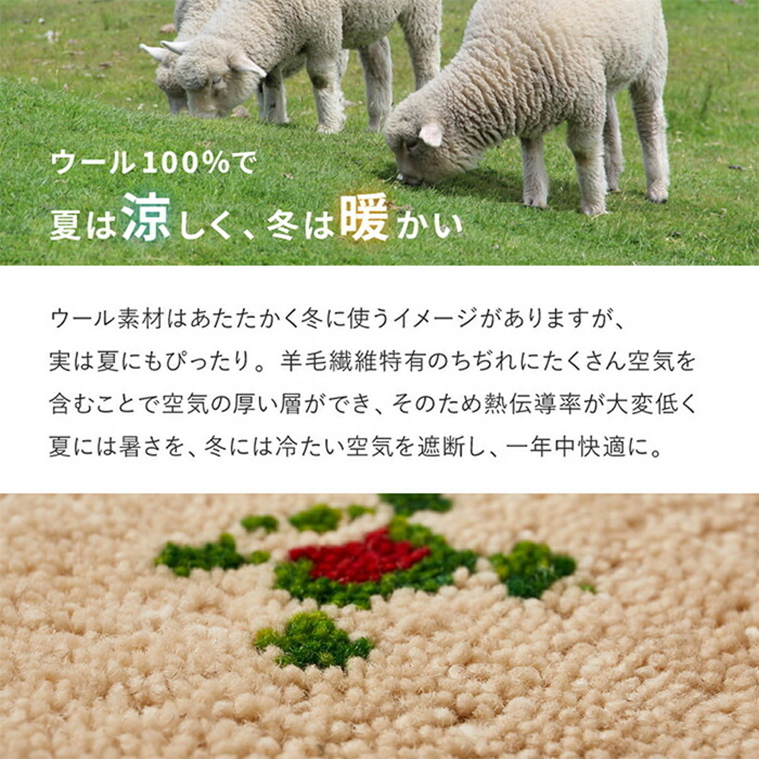 ラグ