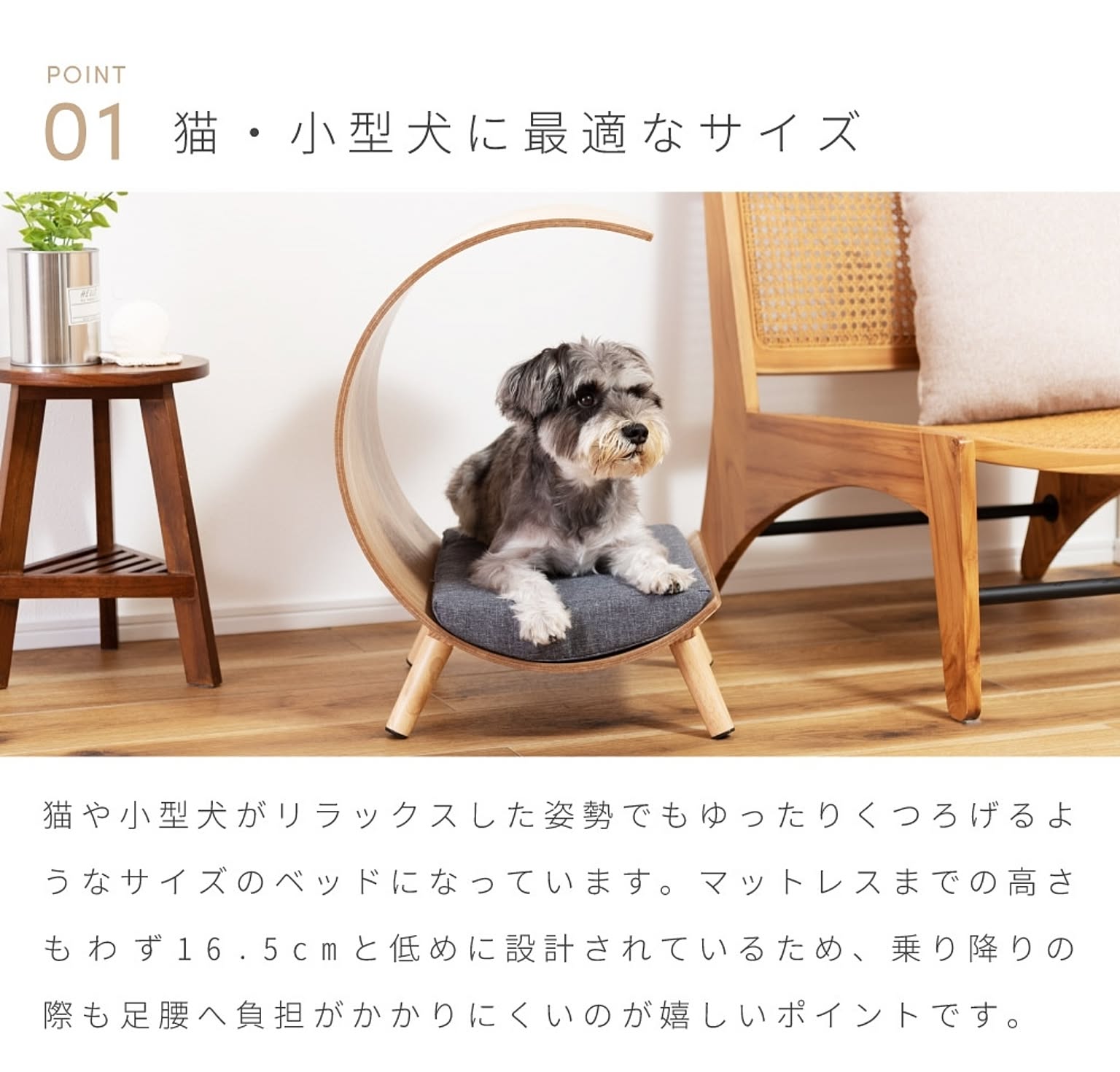 犬用インテリア・犬用家具