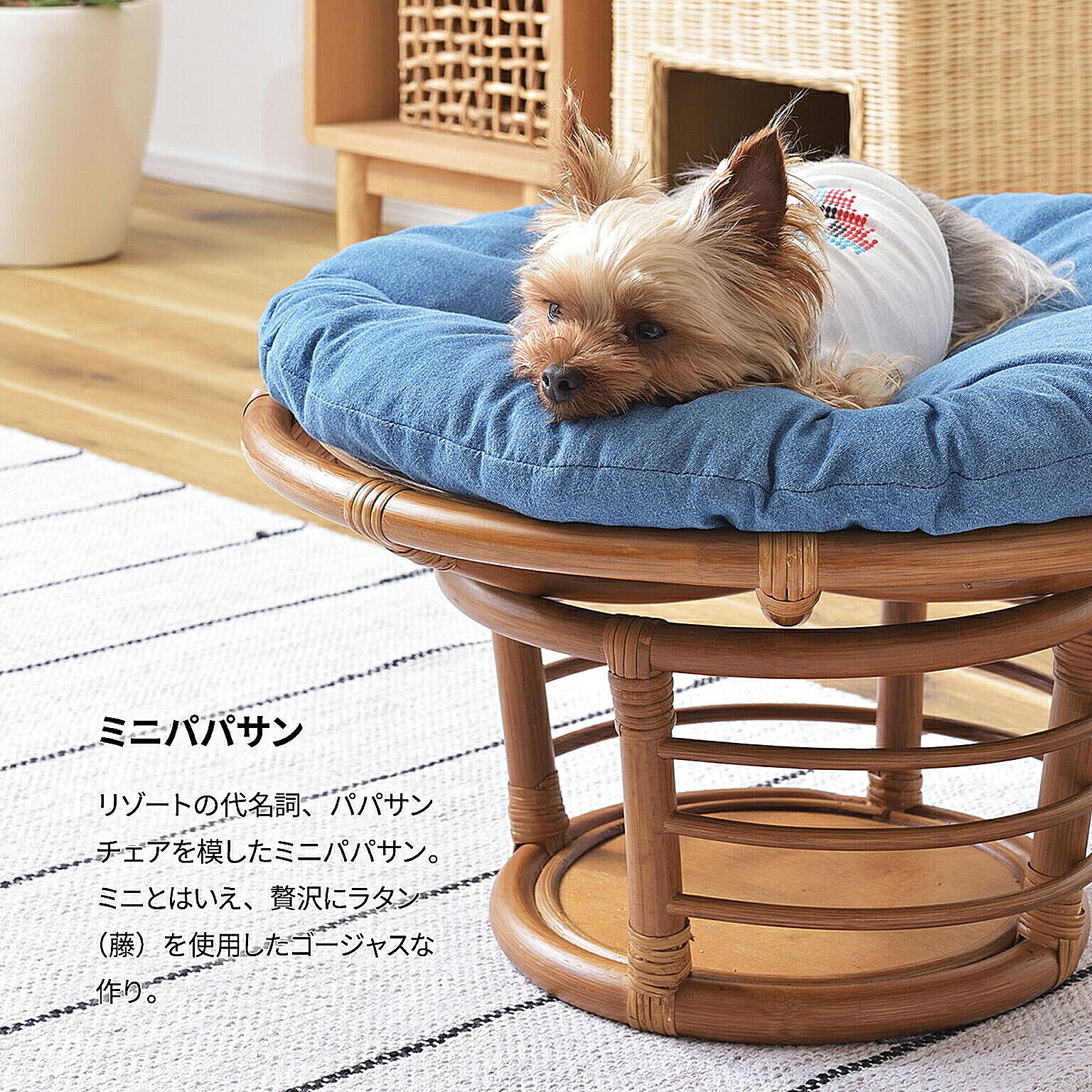 犬用インテリア・犬用家具