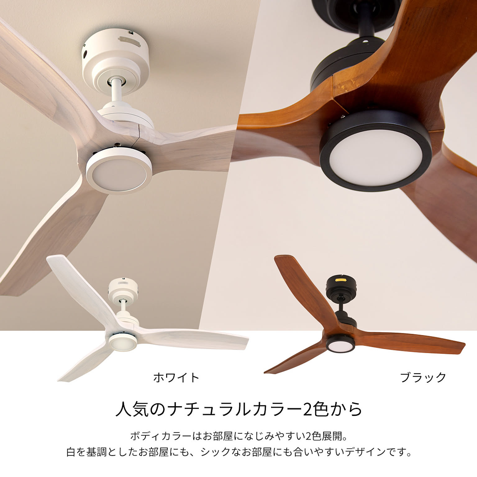 シーリングファンライト