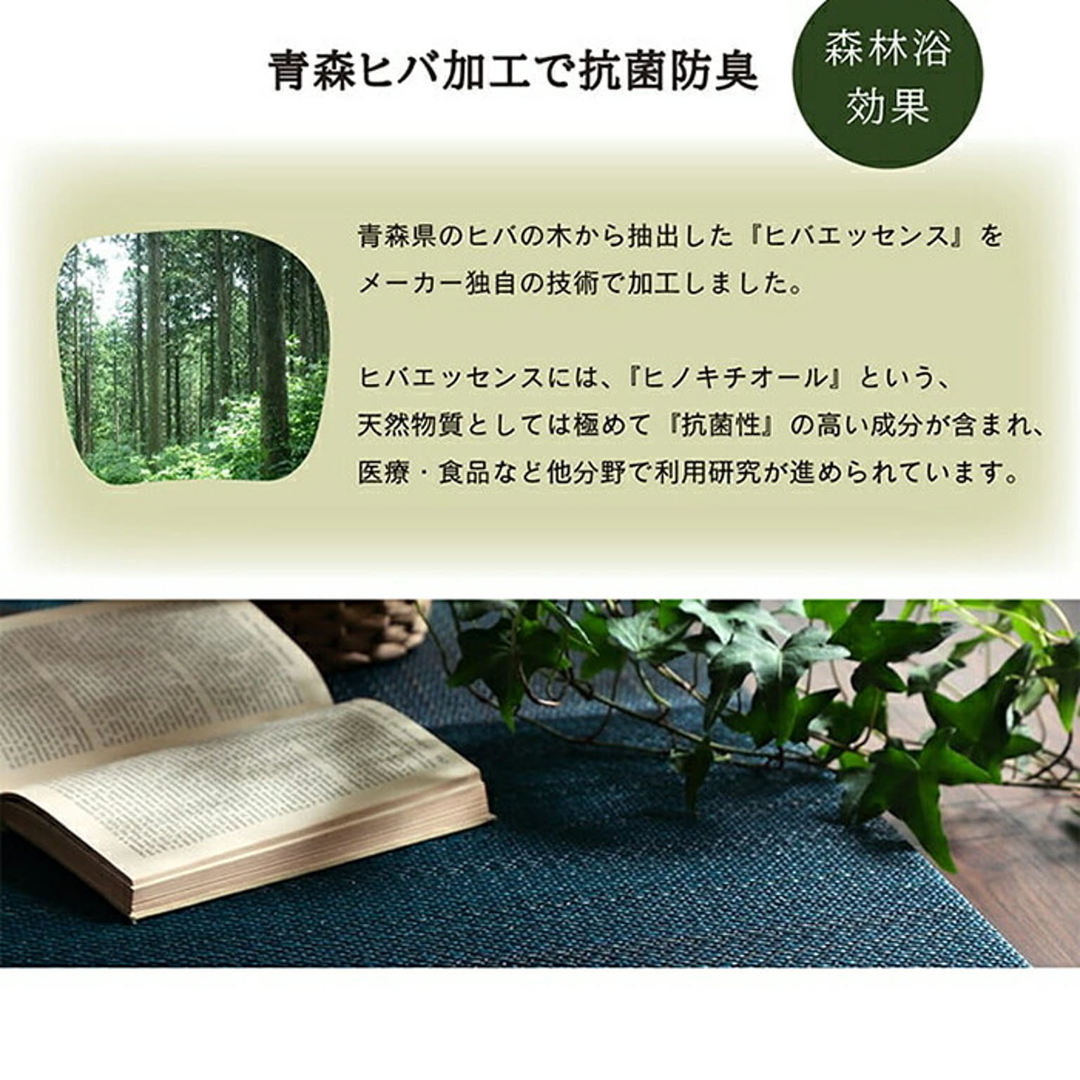 ござ・い草ラグ