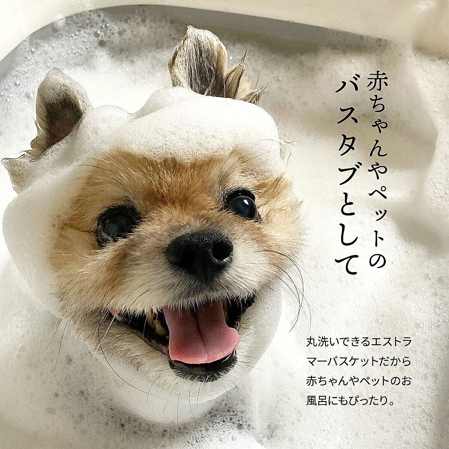 かご・バスケット