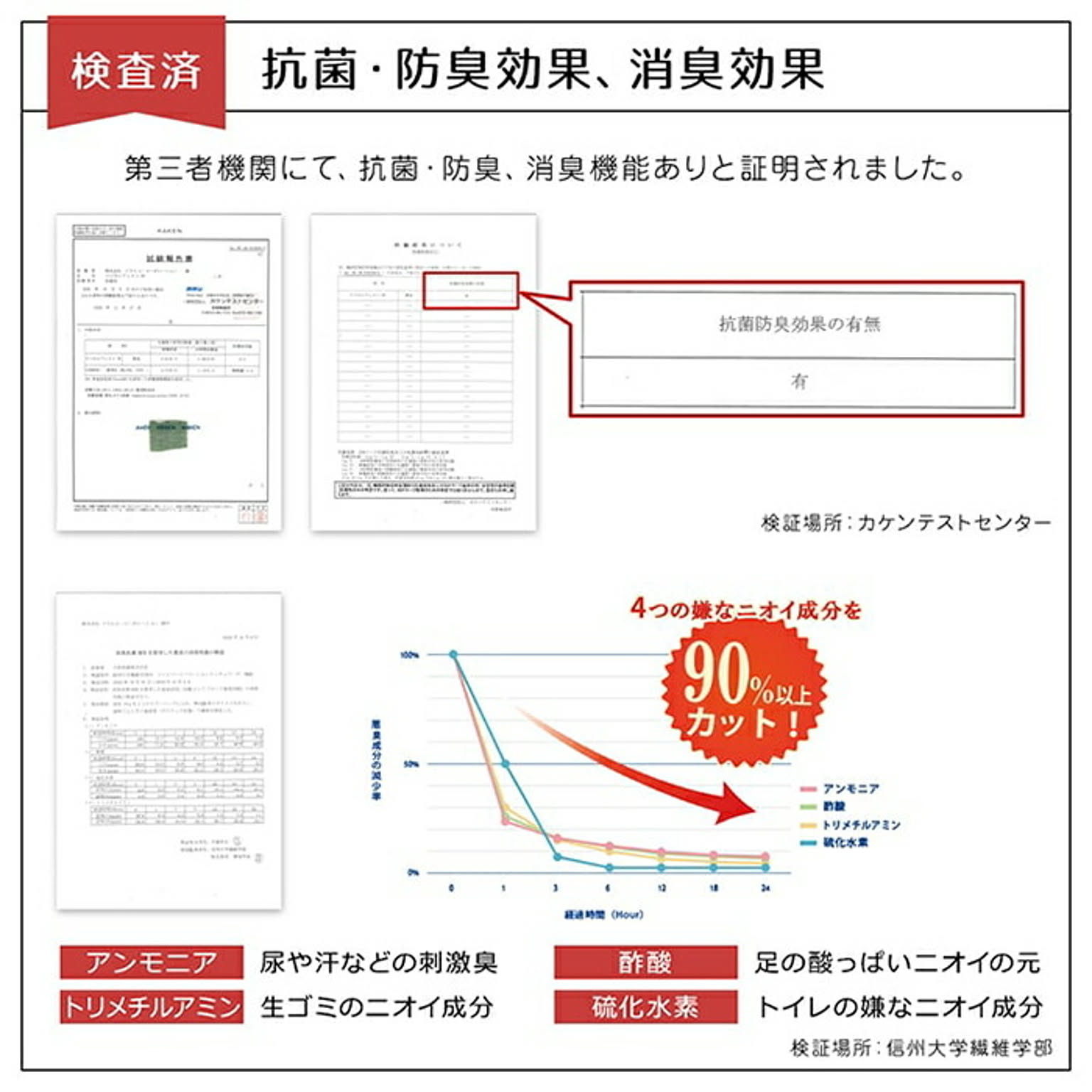 ござ・い草ラグ