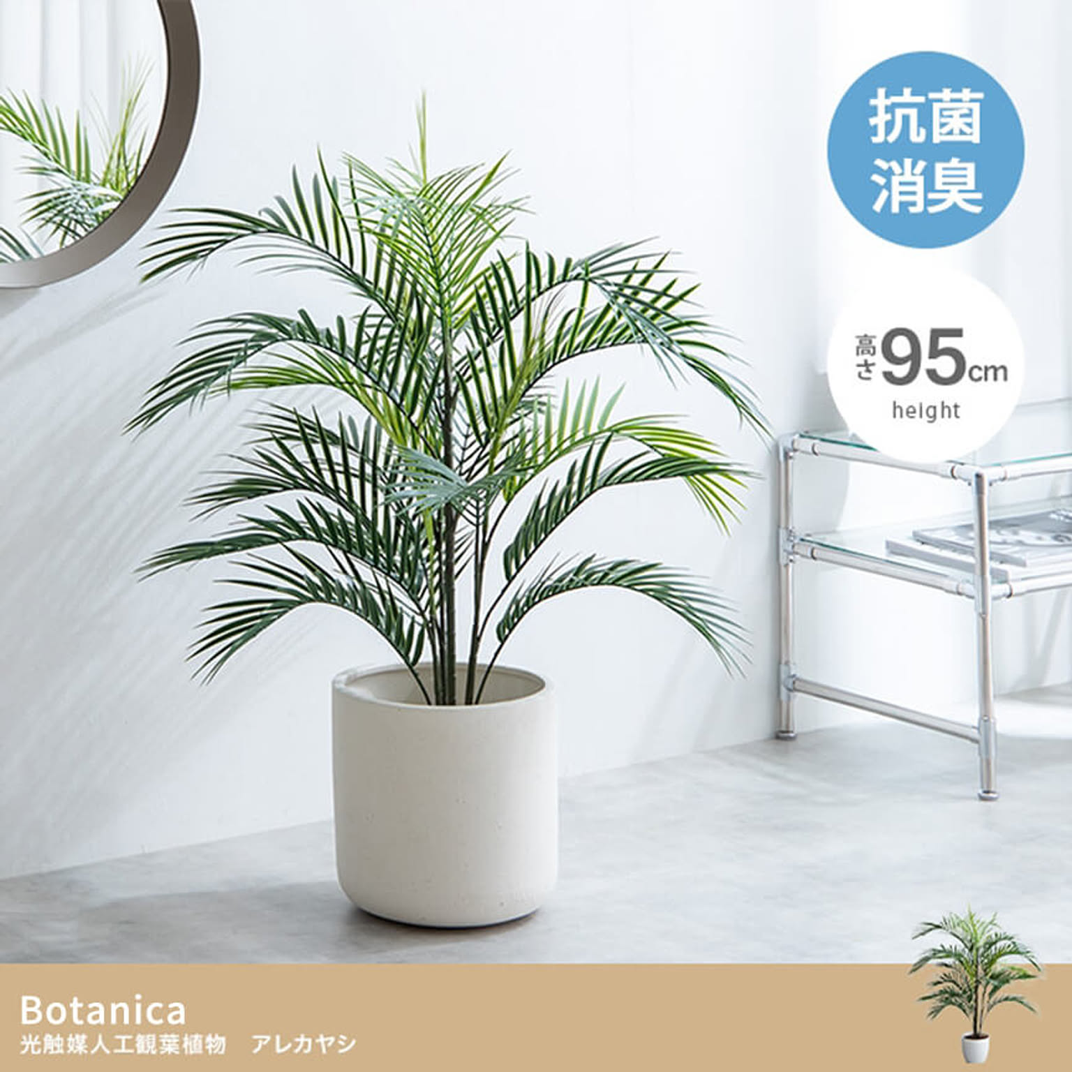 観葉植物