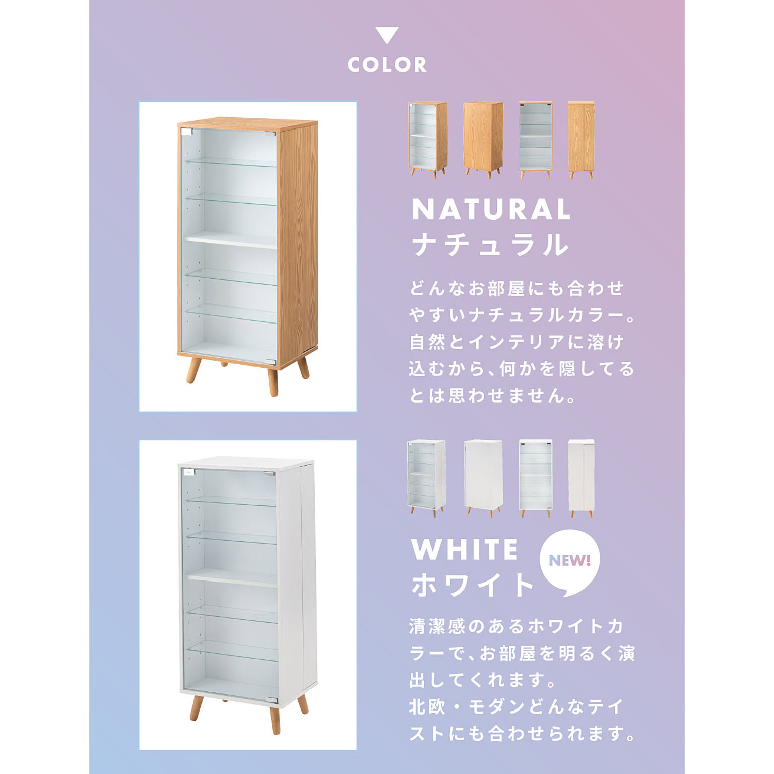 コレクションケース