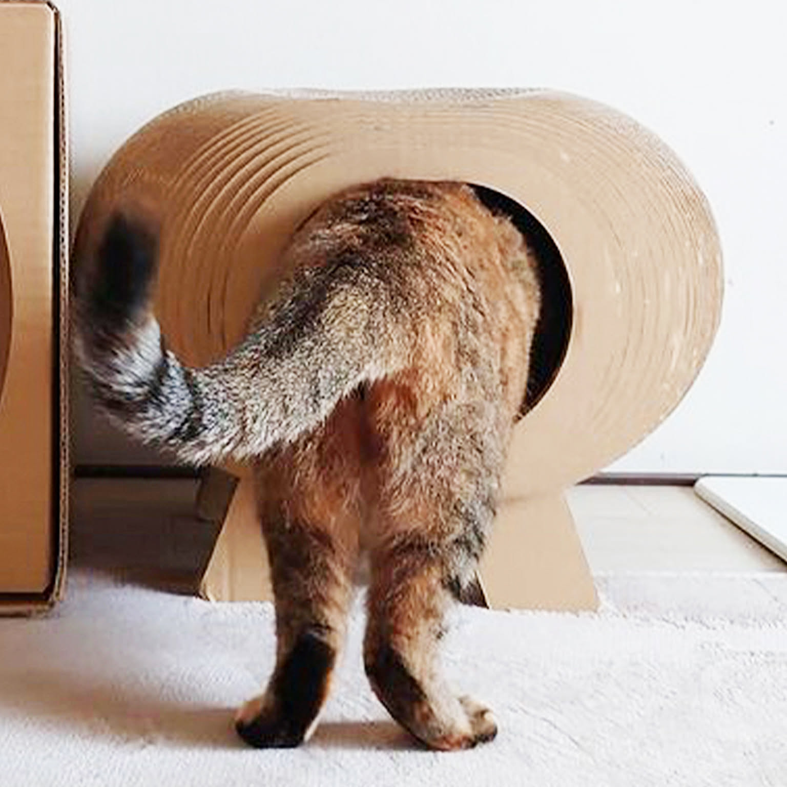 猫用インテリア・猫用家具