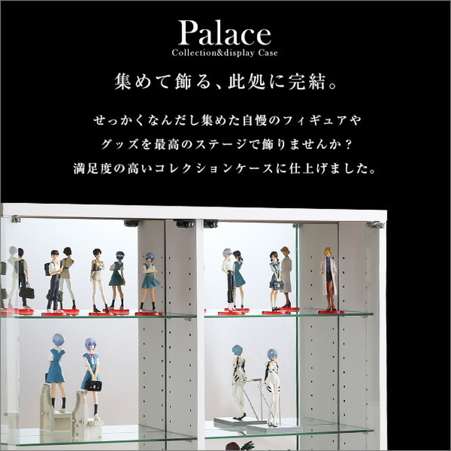 コレクションケース