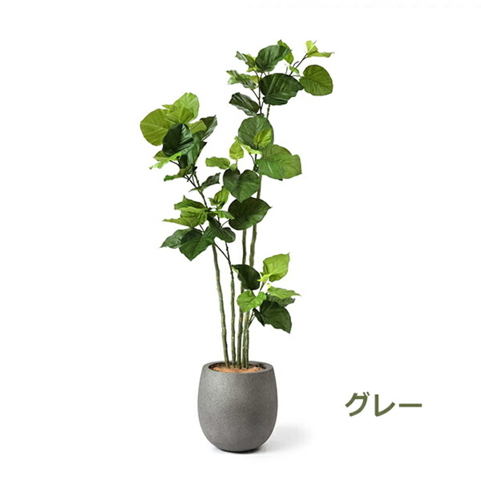 フェイクグリーン