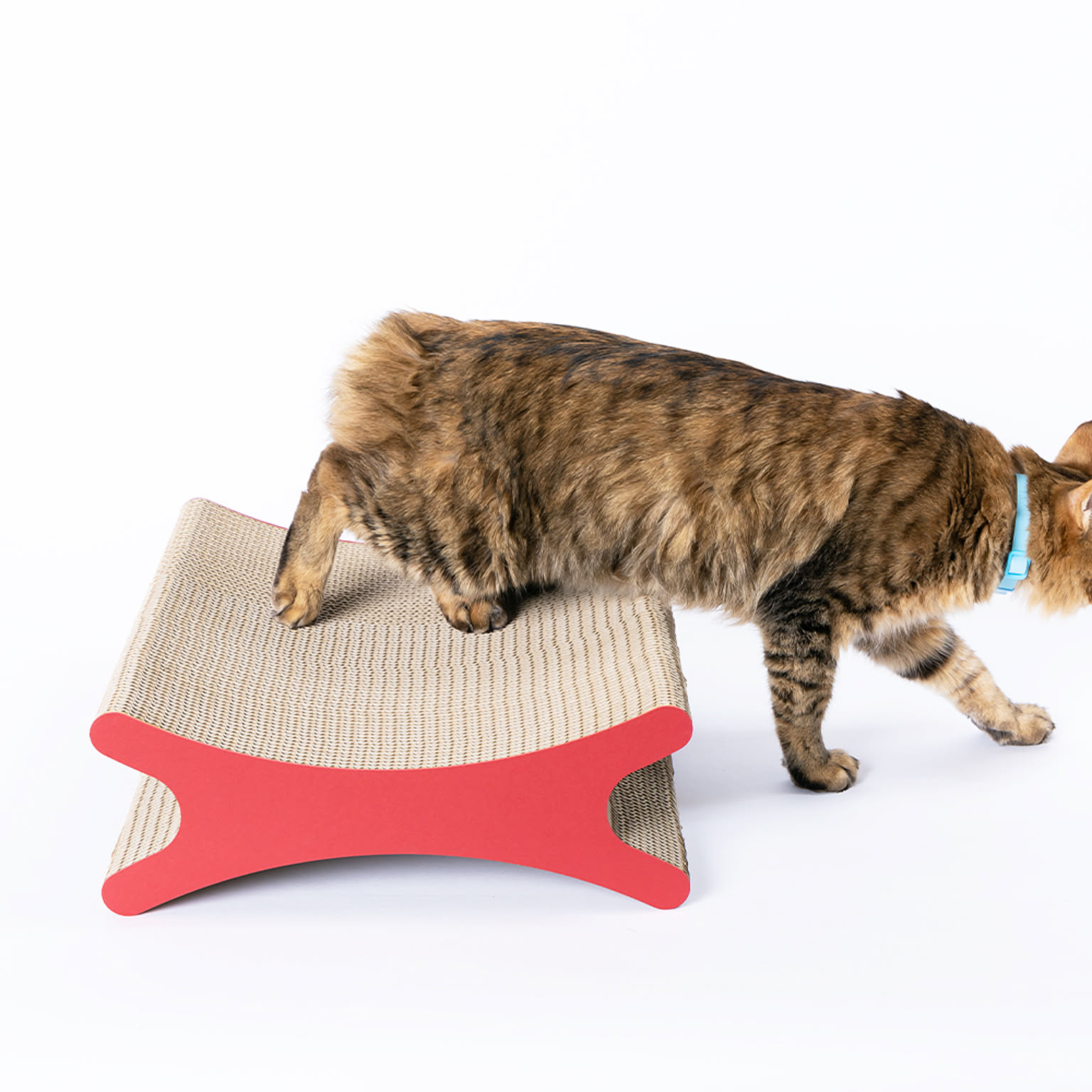 猫用インテリア・猫用家具