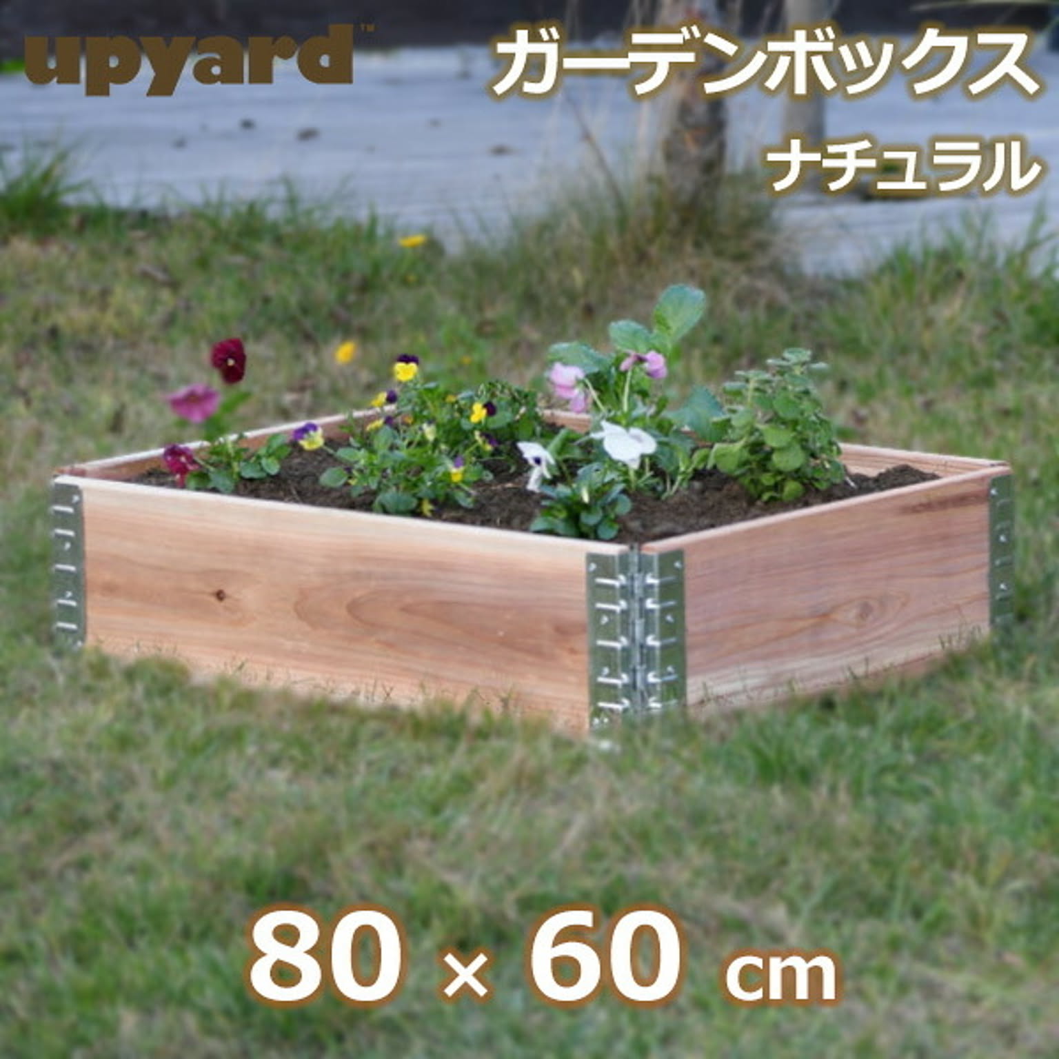 プランター・植木鉢