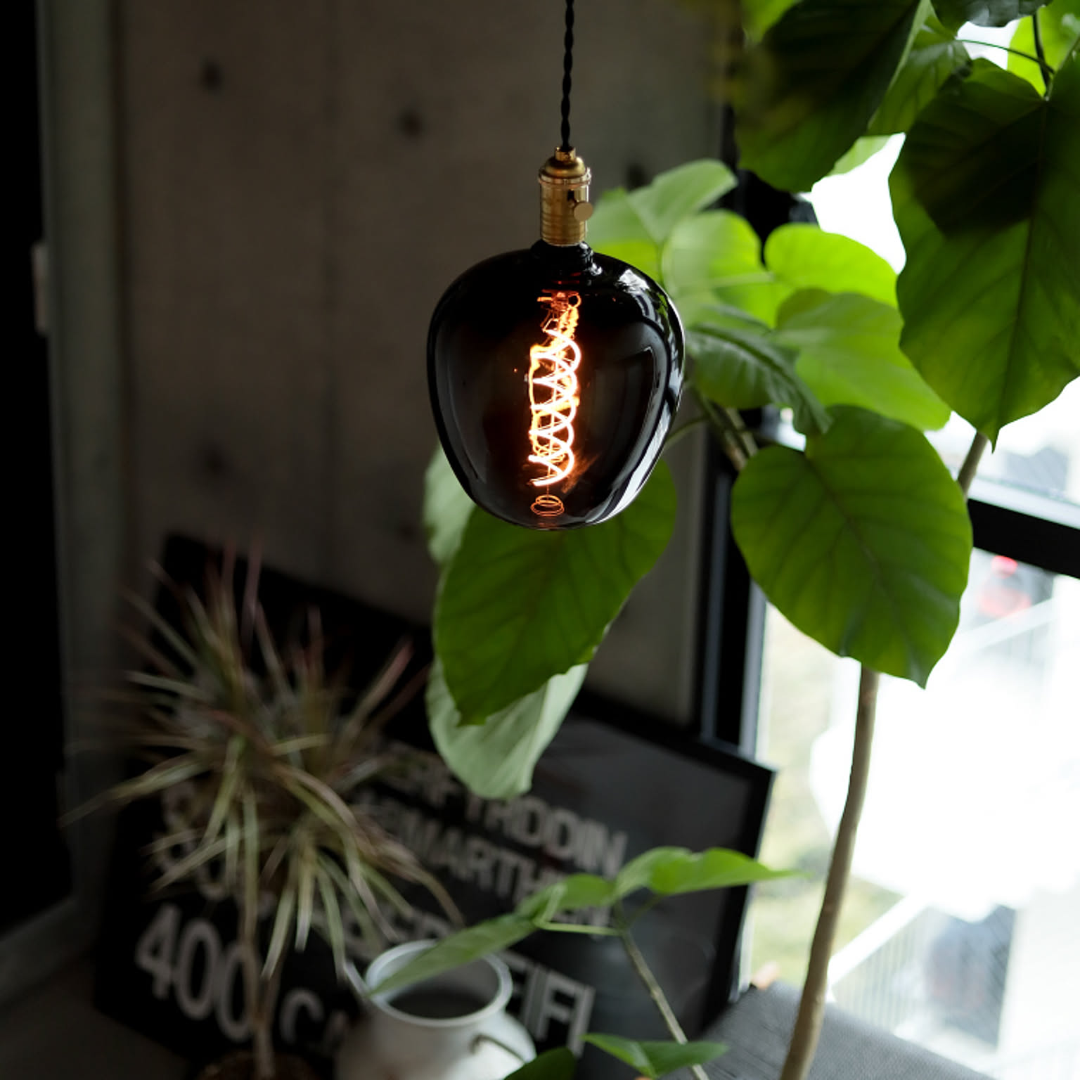 電球