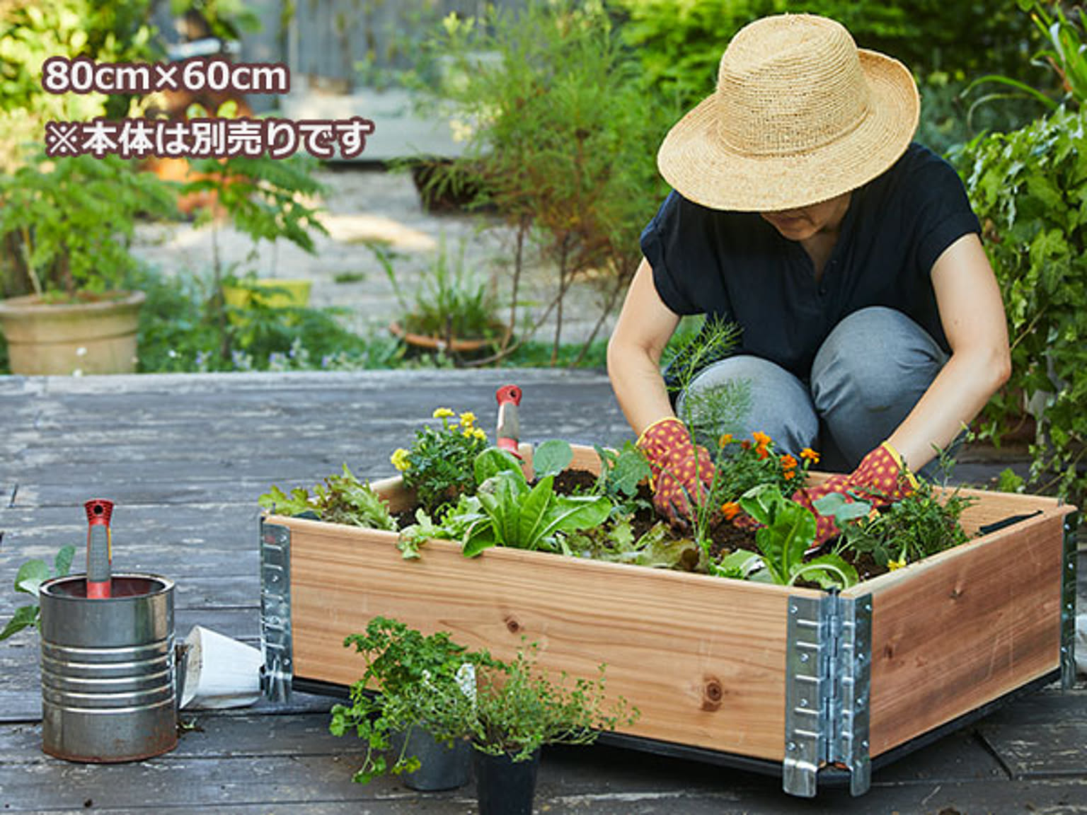 プランター・植木鉢