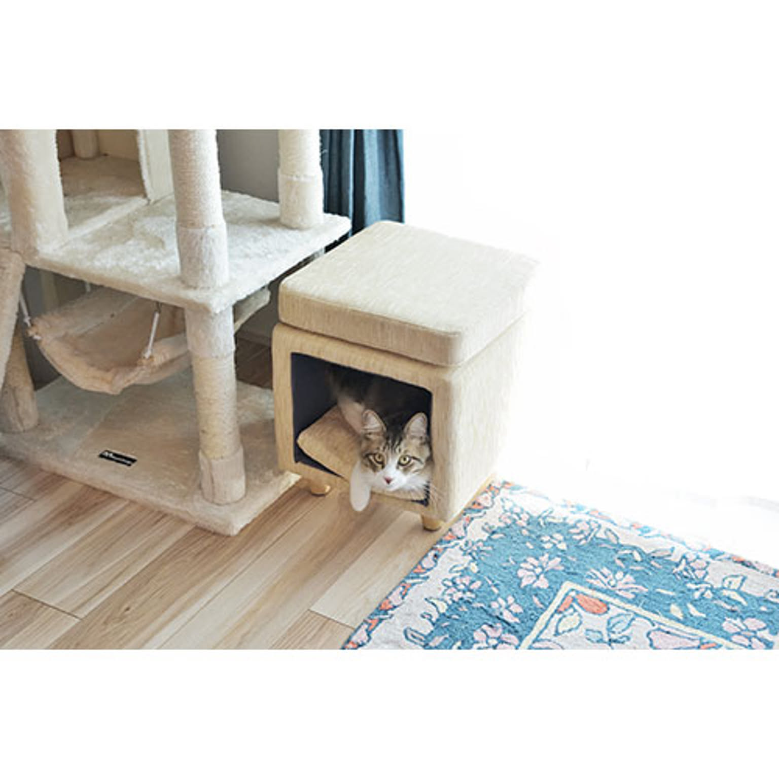 犬用インテリア・犬用家具