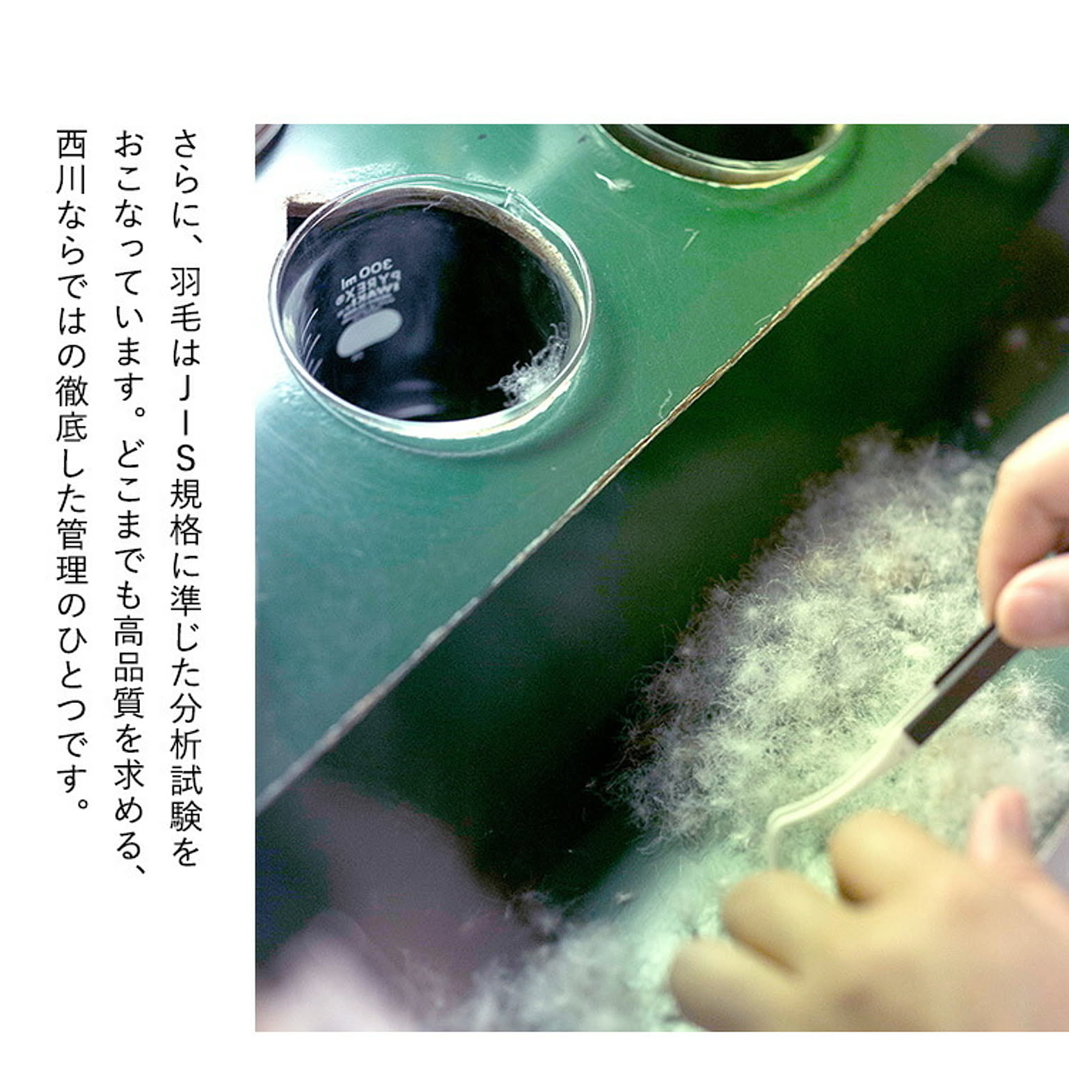 羽毛布団・羽根布団