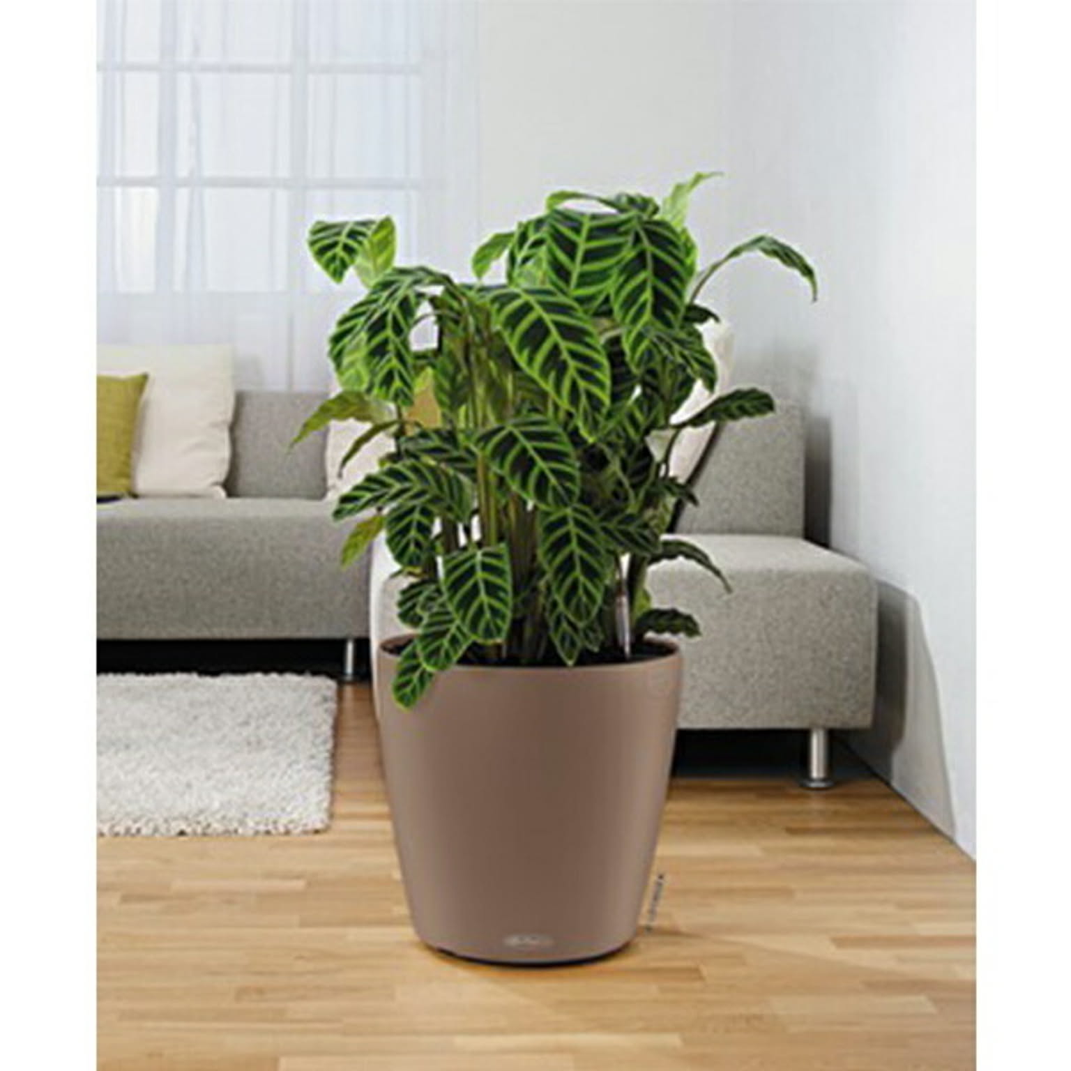 プランター・植木鉢